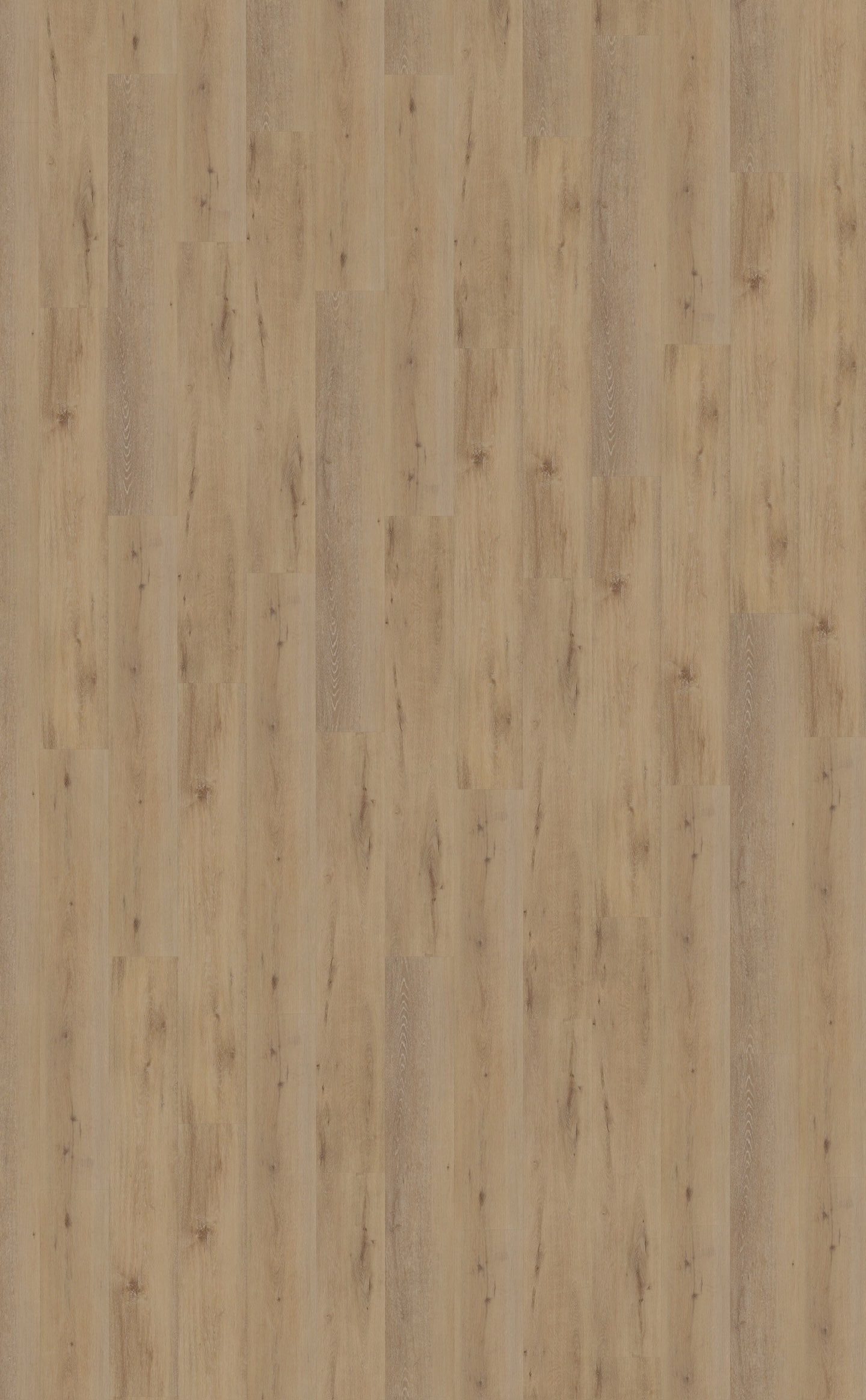 Belakos PVC Attico 800 topview