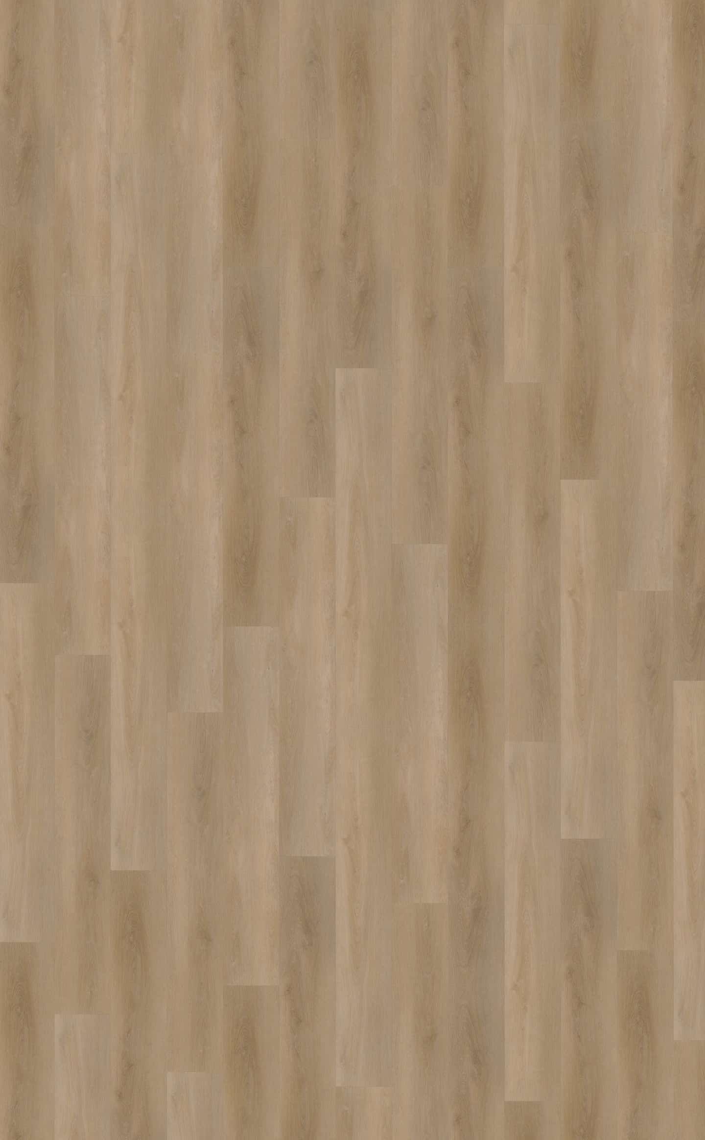 Belakos PVC Attico 810 topview