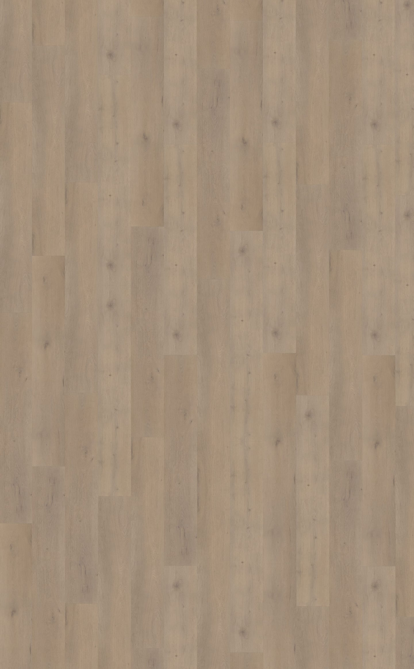 Belakos PVC Attico 820 topview