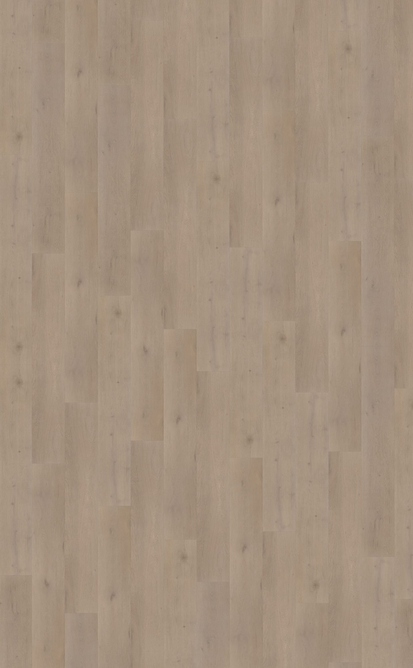 Belakos PVC Attico 830 topview