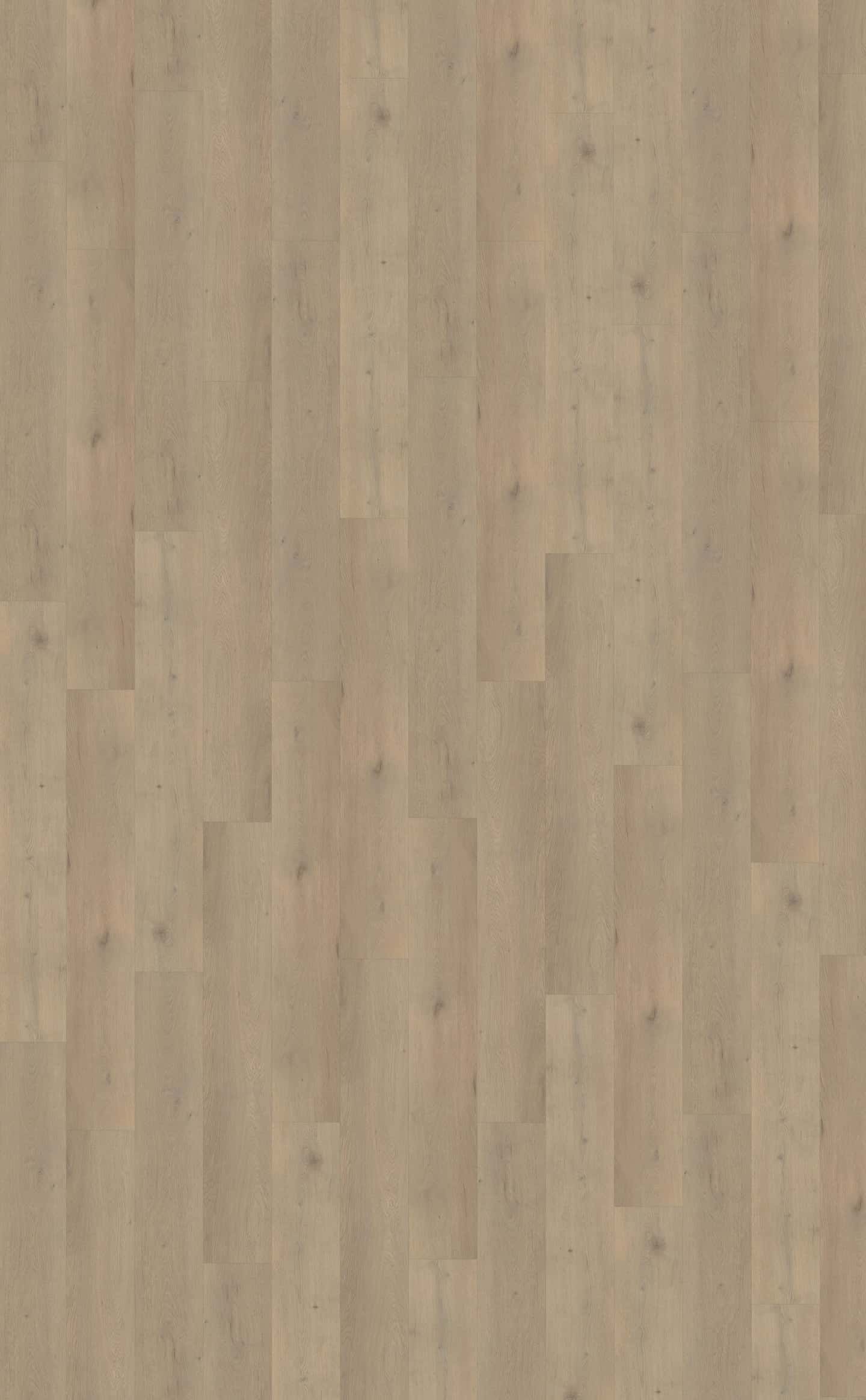 Belakos PVC Attico 860 topview