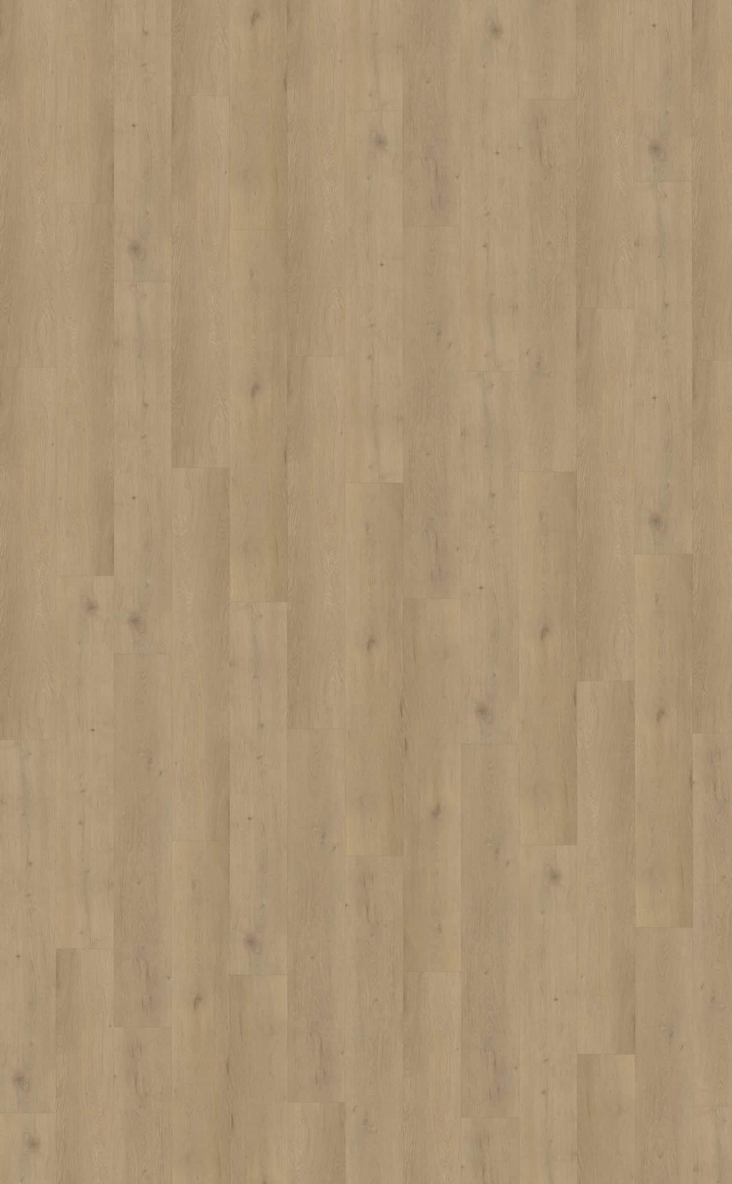 Belakos PVC Attico 870 topview