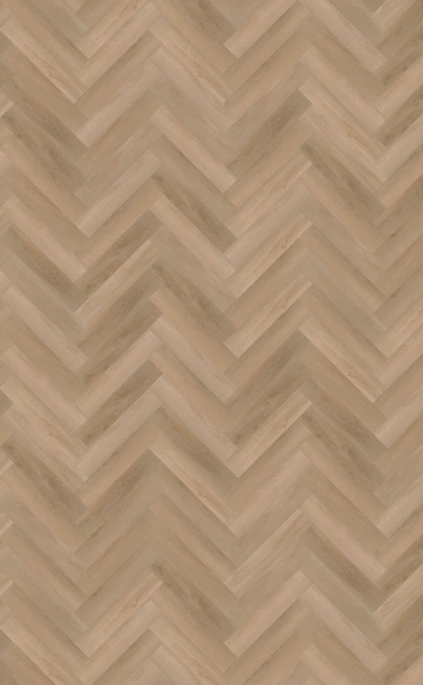 Belakos PVC Attico Visgraat XL 81 topview