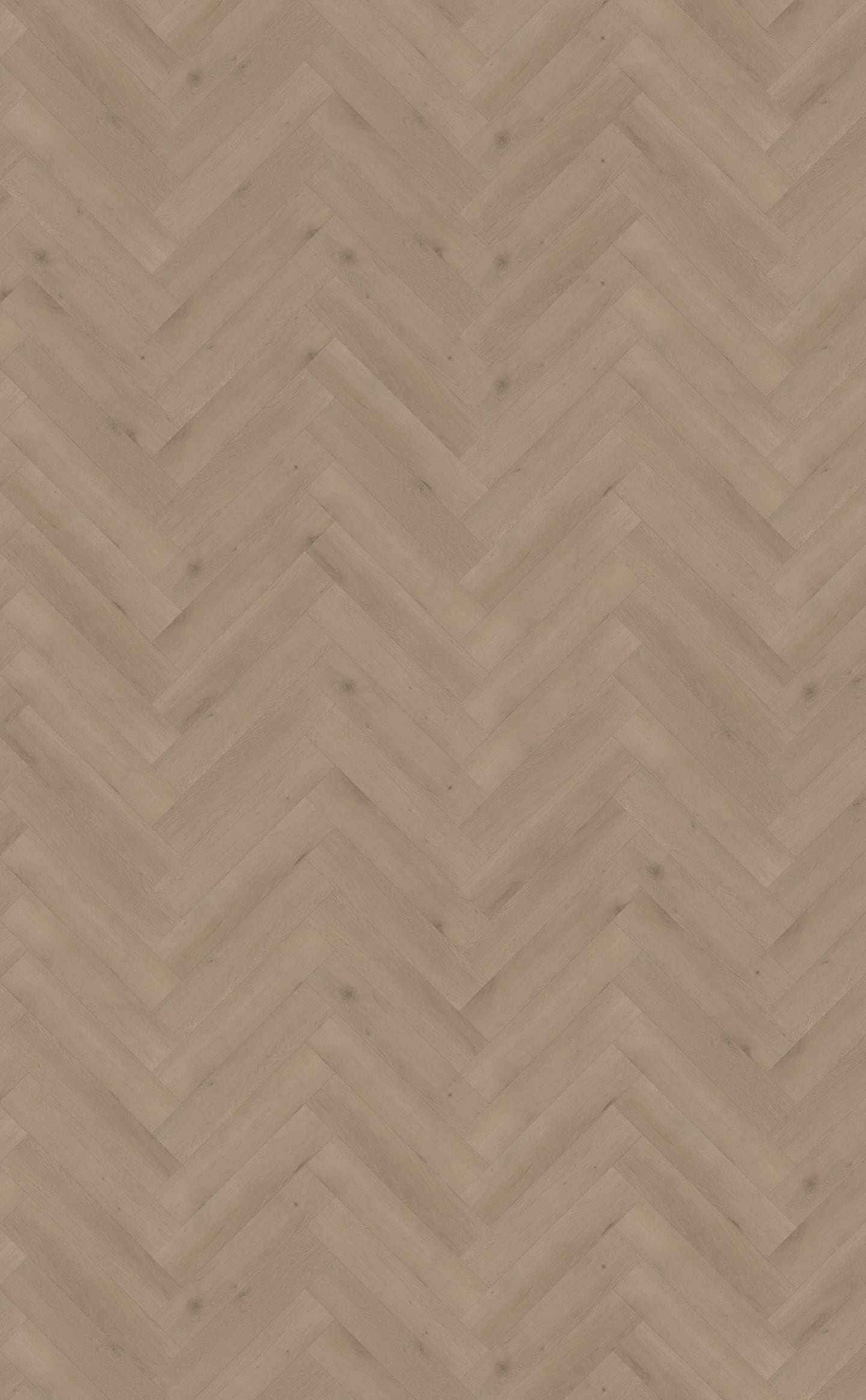 Belakos PVC Attico Visgraat XL 82 topview