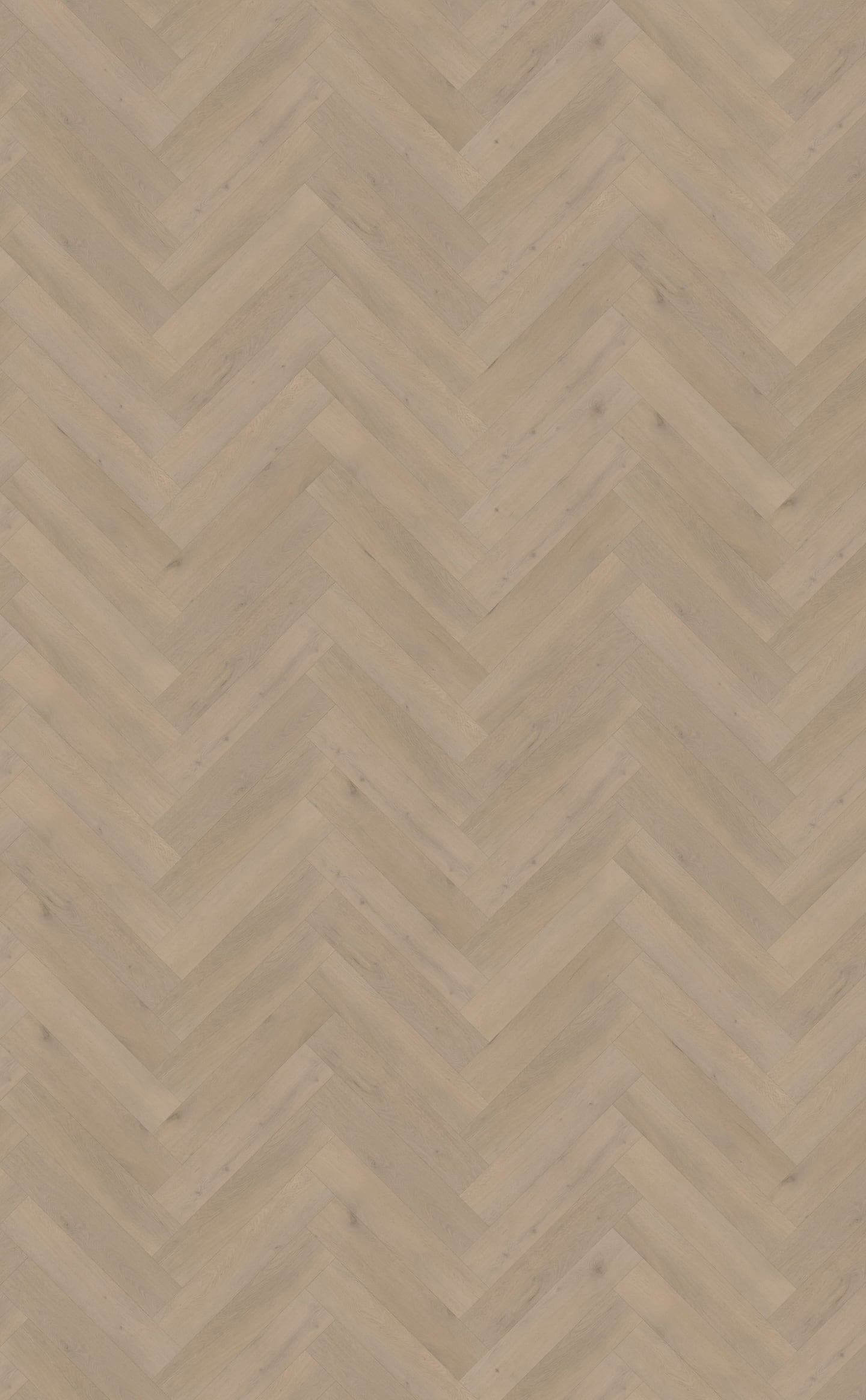 Belakos PVC Attico Visgraat XL 83 topview