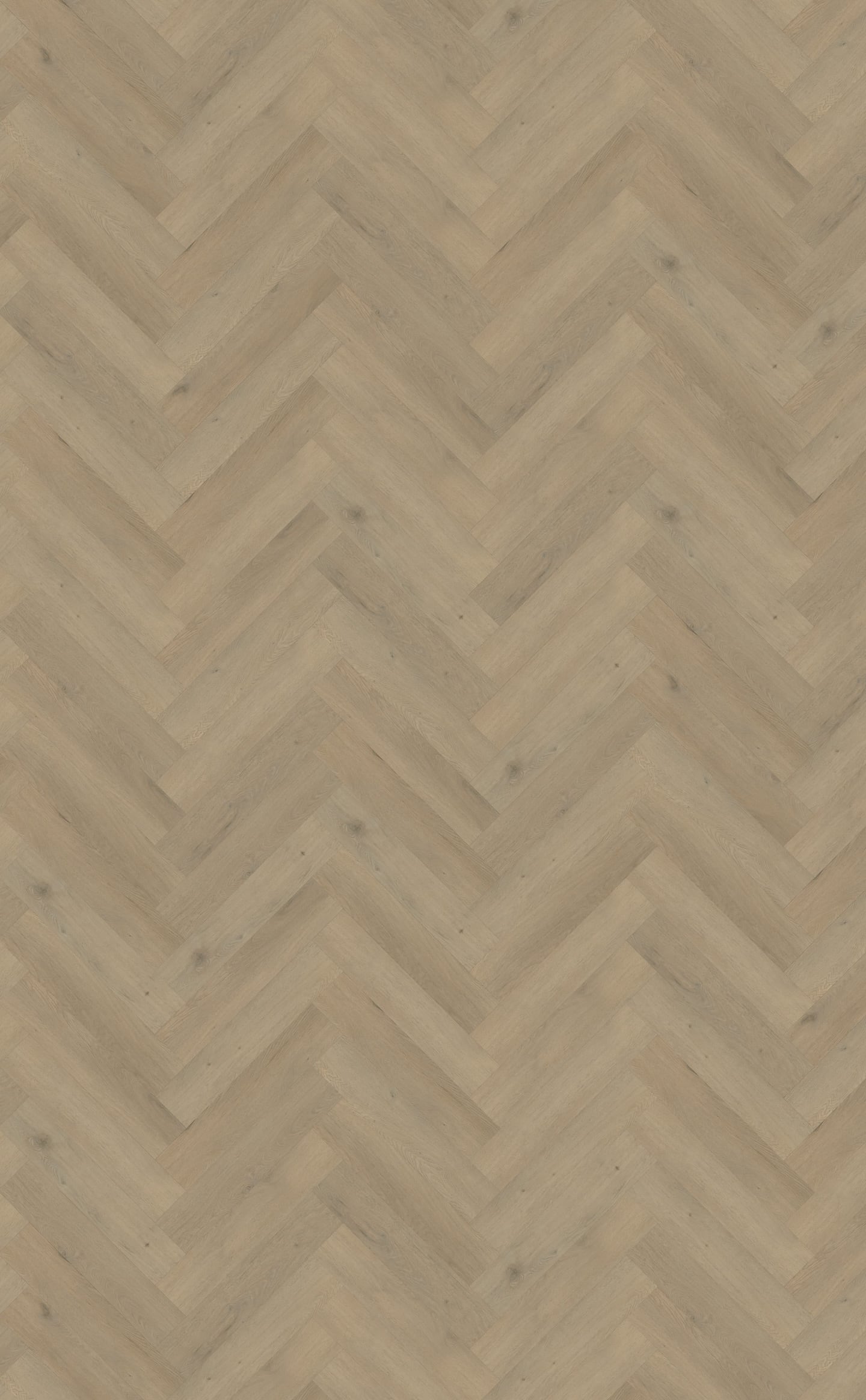 Belakos PVC Attico Visgraat XL 86 topview