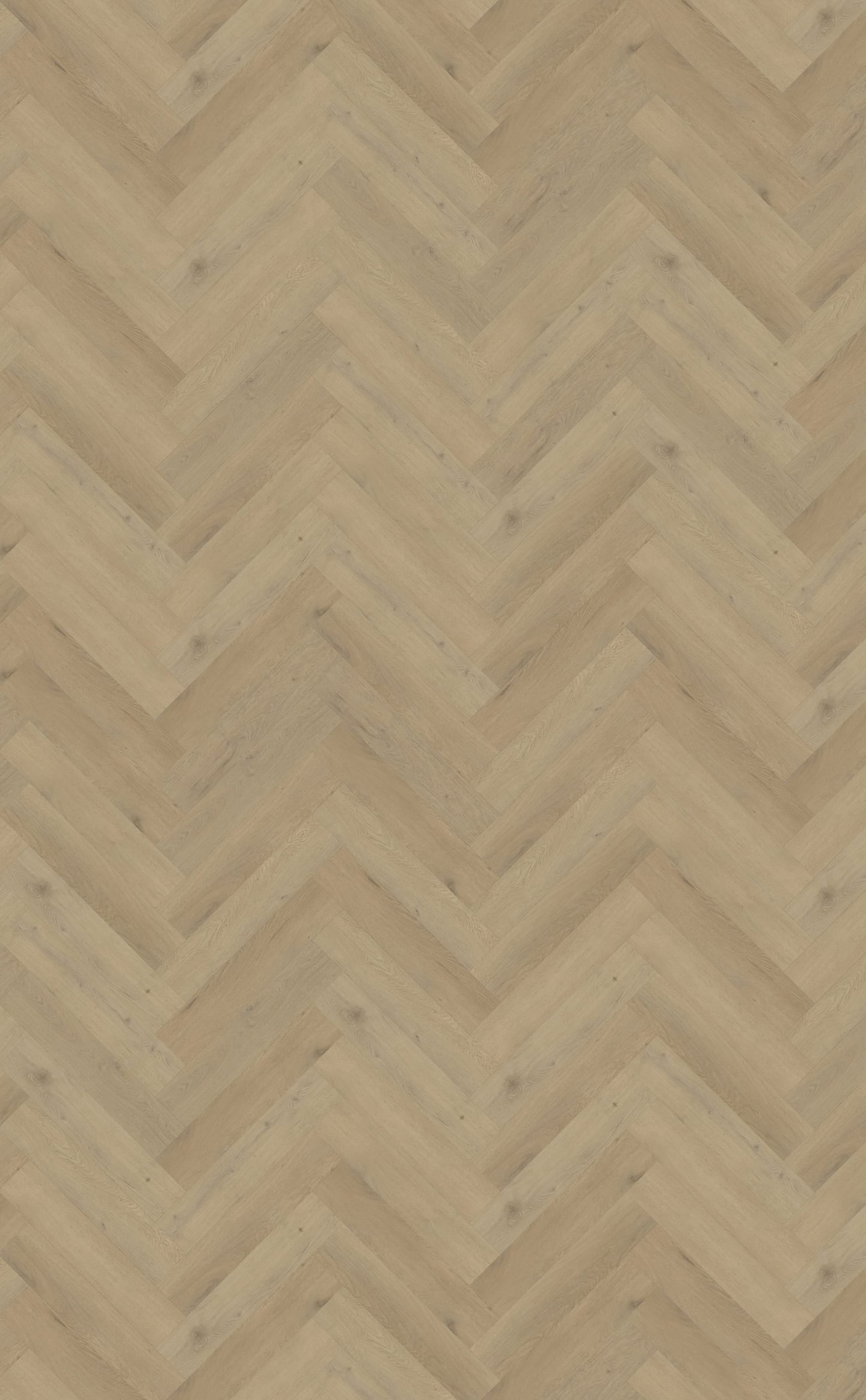 Belakos PVC Attico Visgraat XL 87 topview