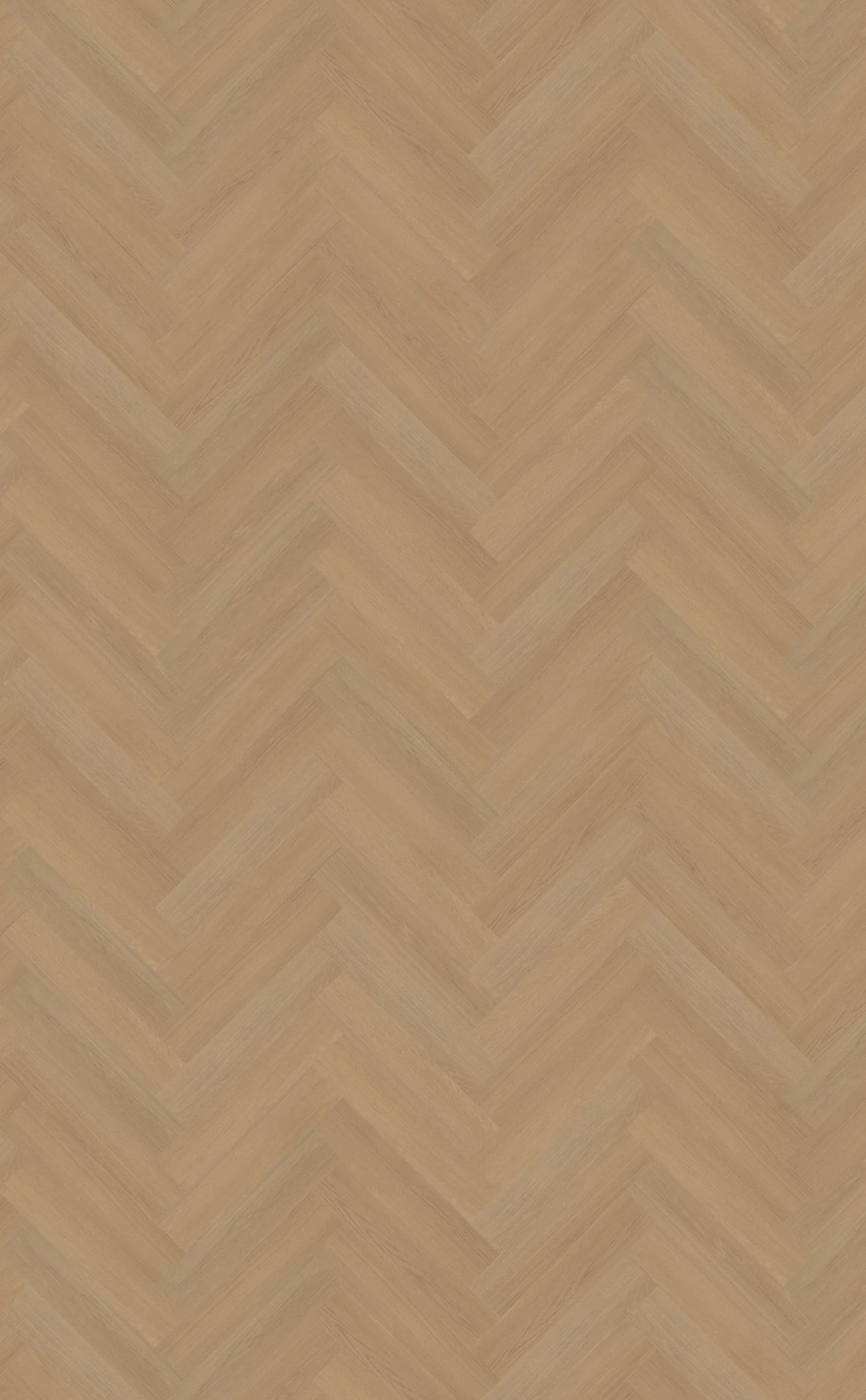 Belakos PVC Futuro visgraat XL 50 topview