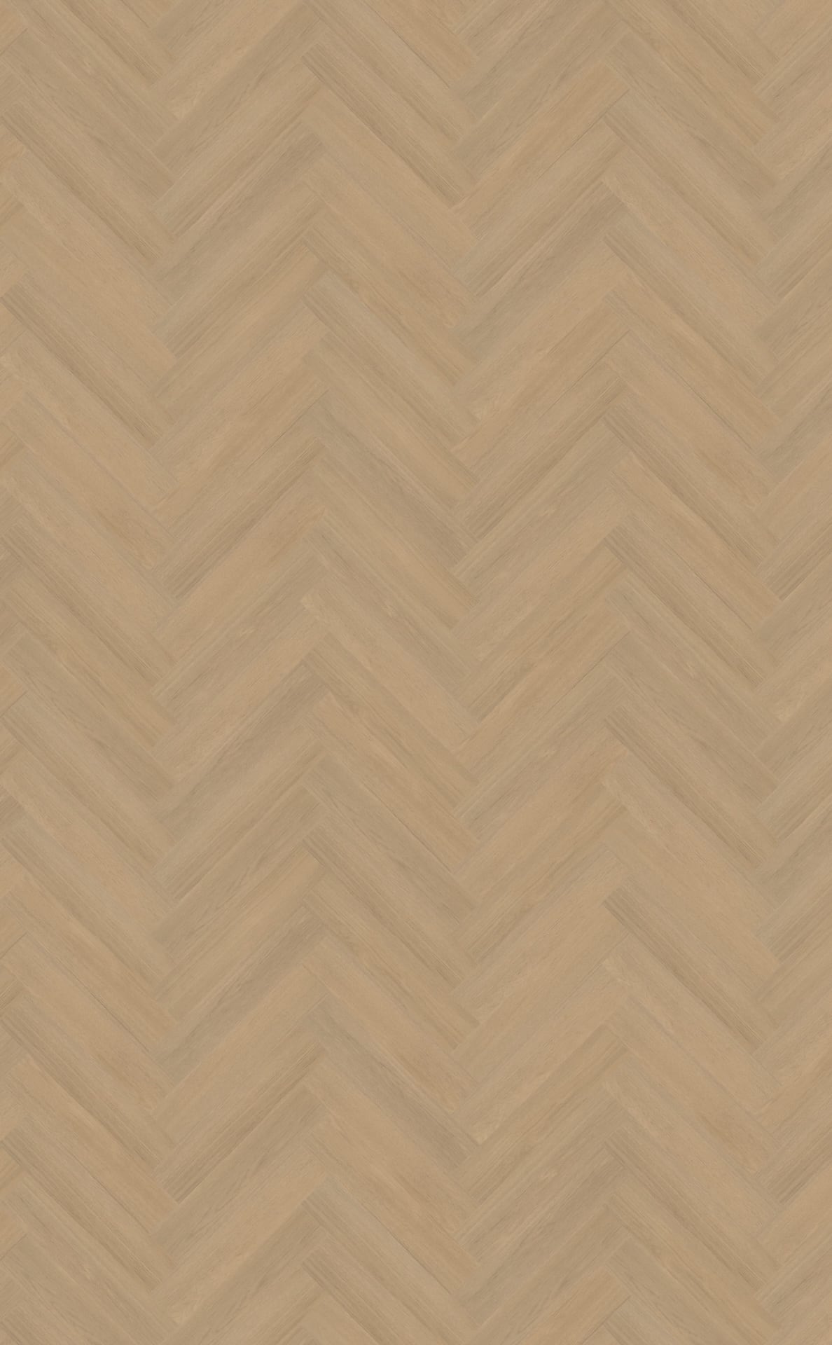 Belakos PVC Futuro visgraat XL 51 topview