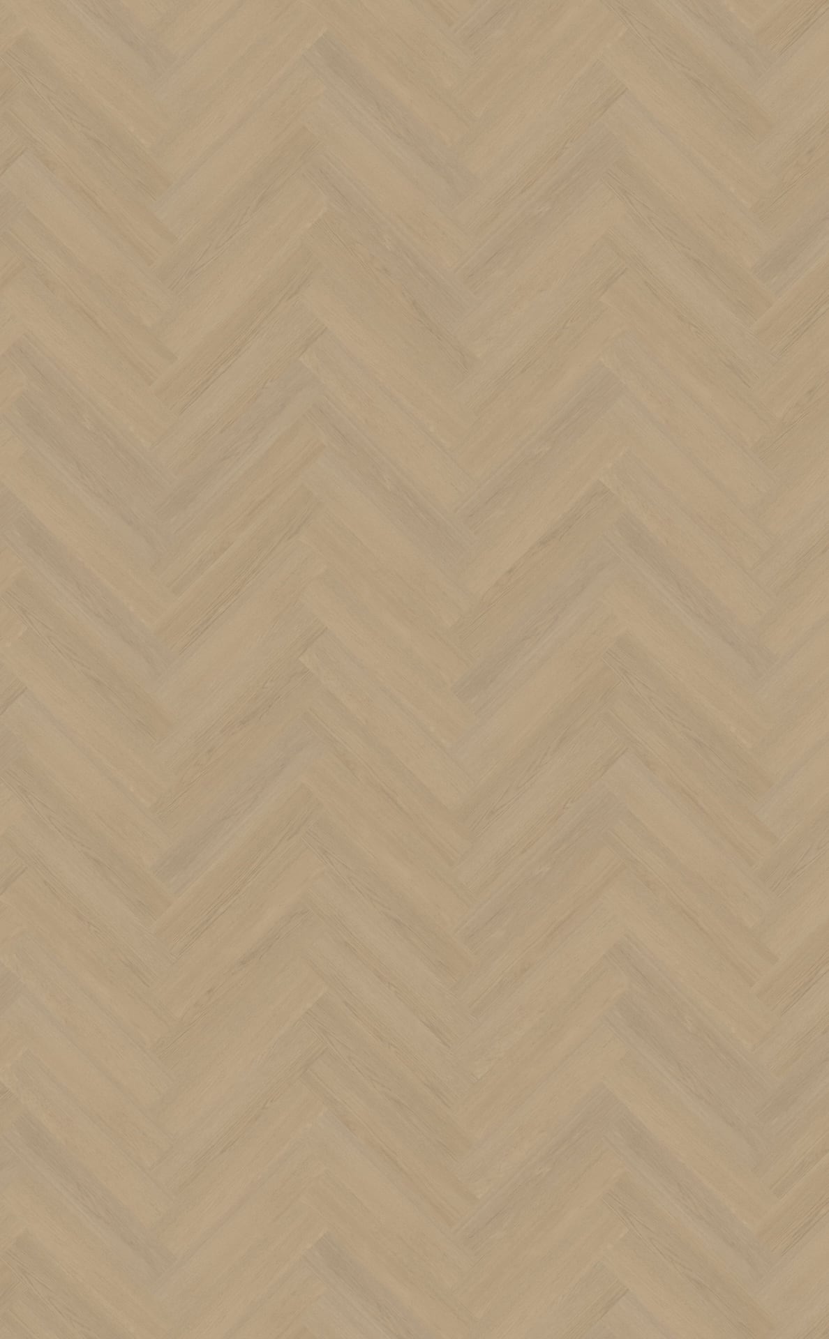 Belakos PVC Futuro visgraat XL 52 topview