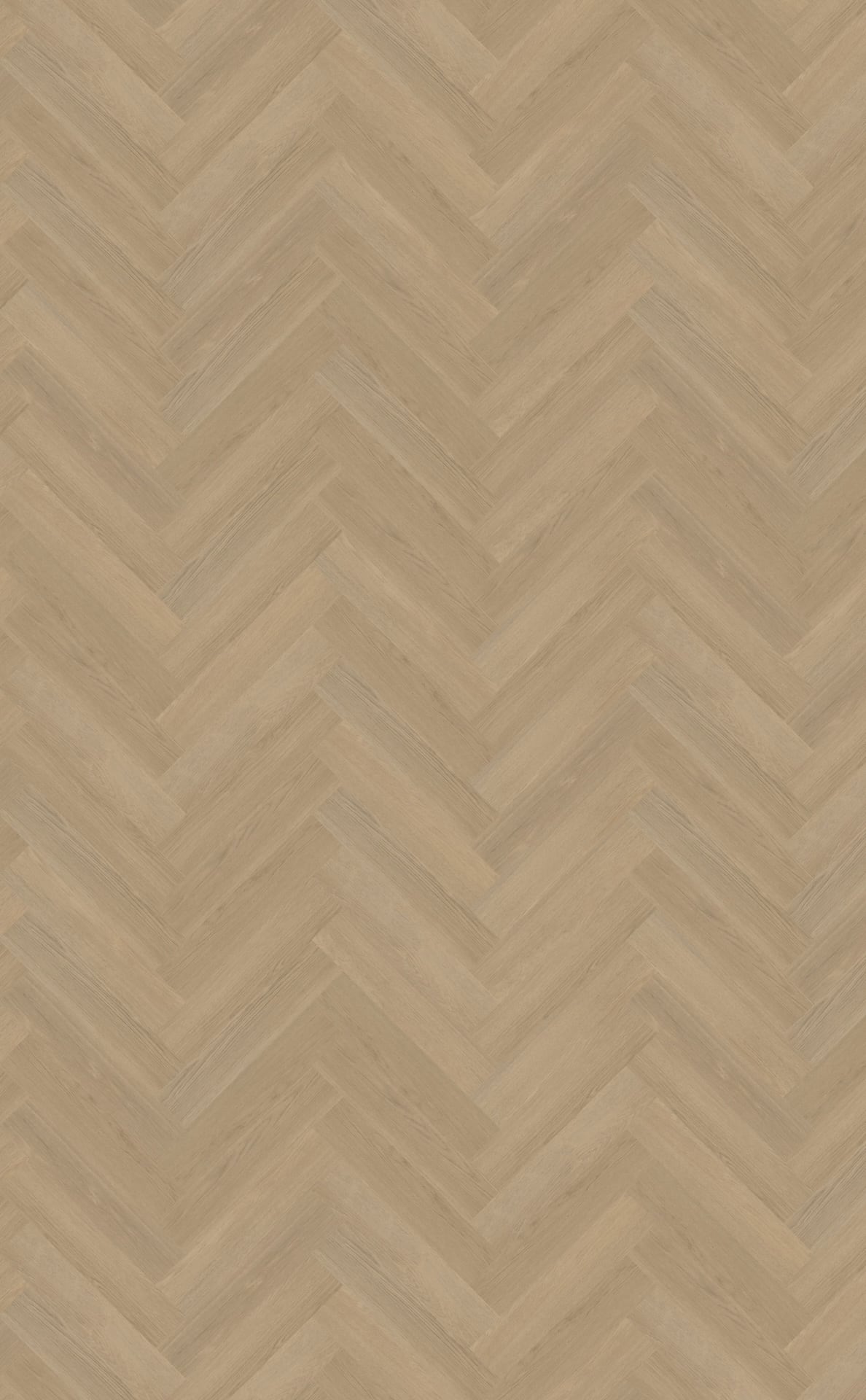 Belakos PVC Futuro visgraat XL 53 topview