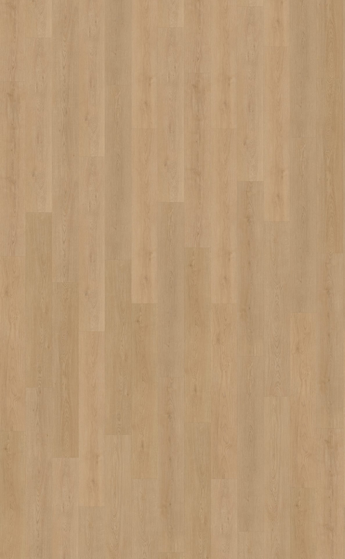 Belakos PVC Monastro 930 Rigid Click topview