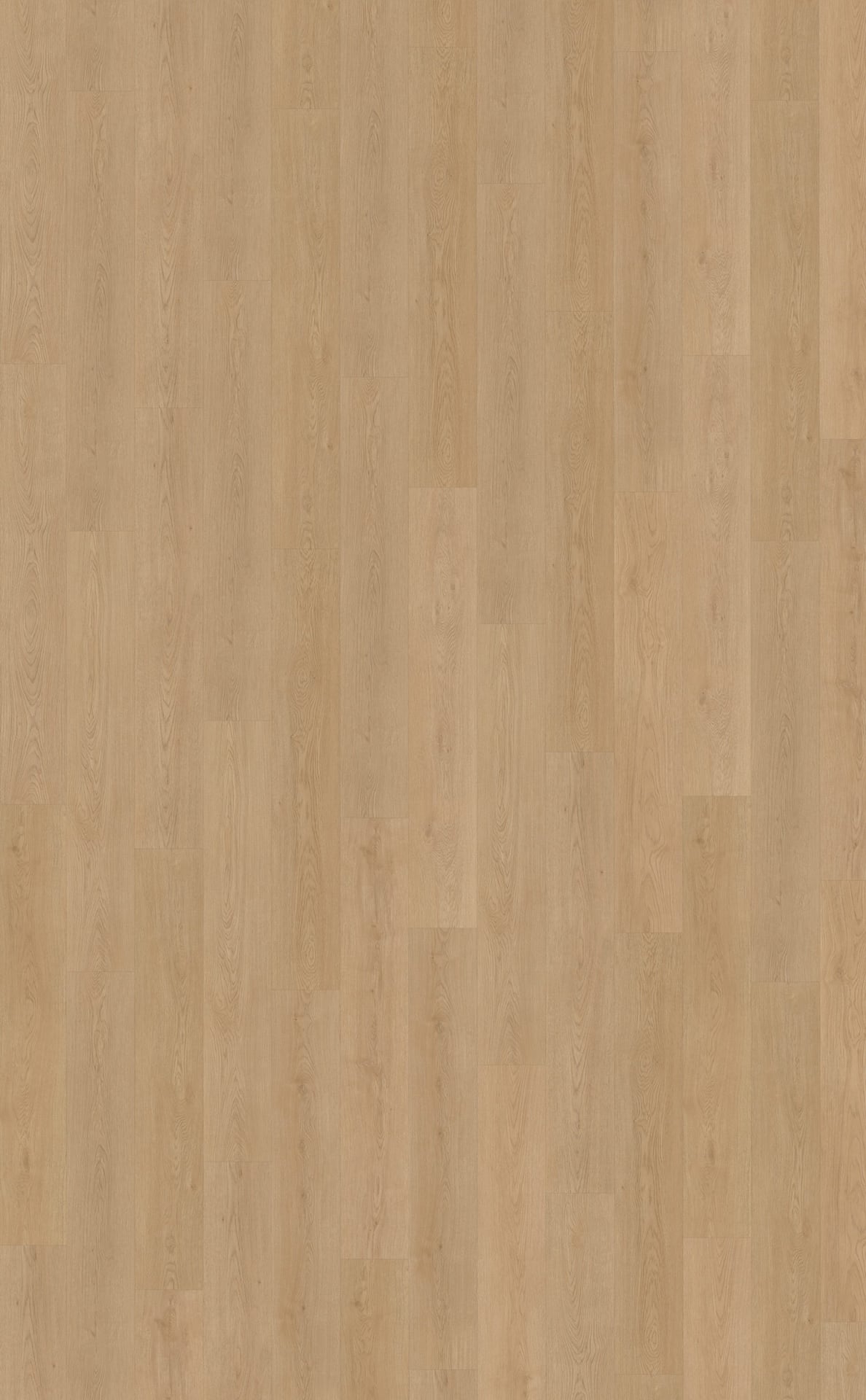 Belakos PVC Monastro 930 topview