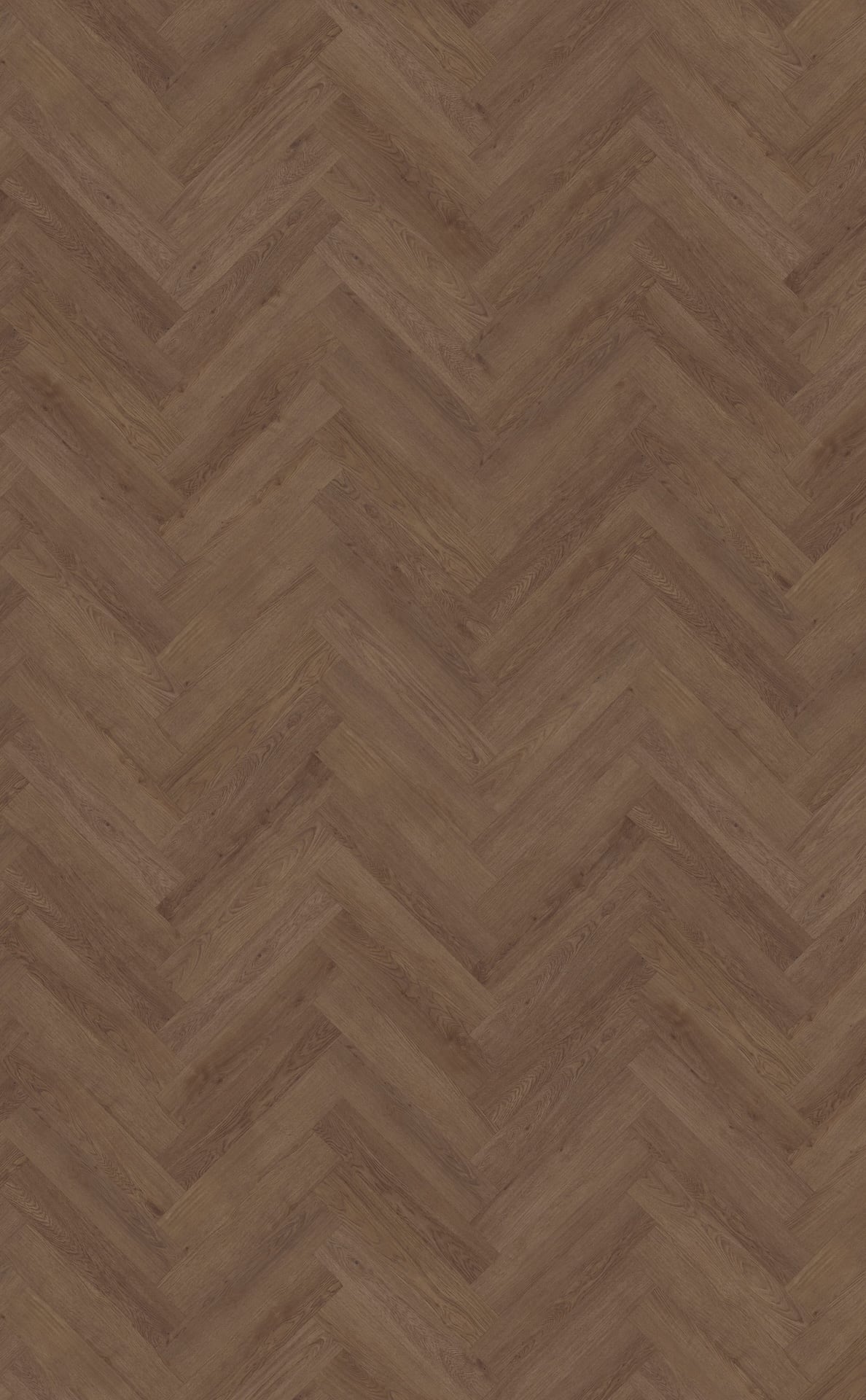 Belakos PVC Monastro visgraat XL 91 topview