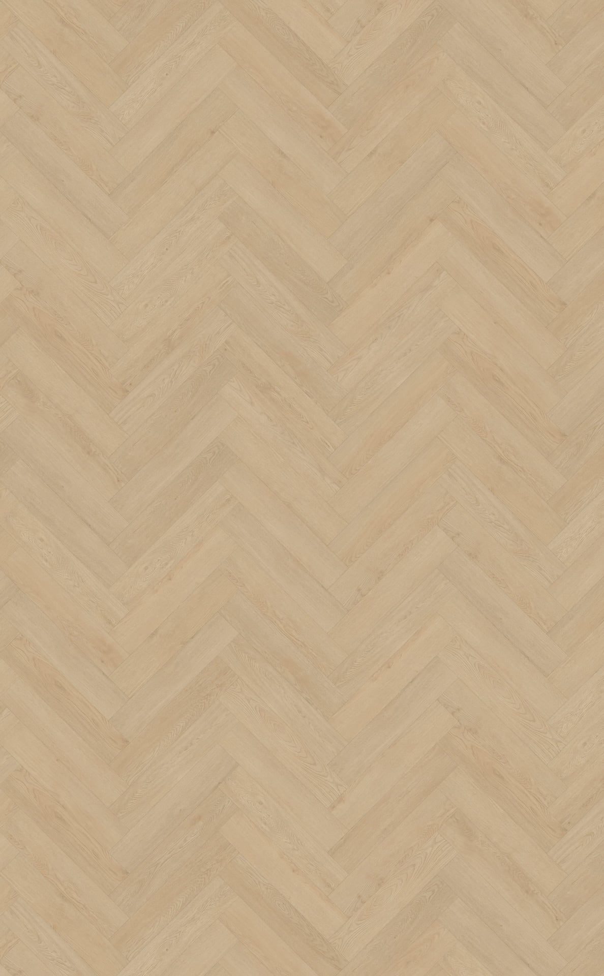 Belakos PVC Monastro visgraat XL 92 topview