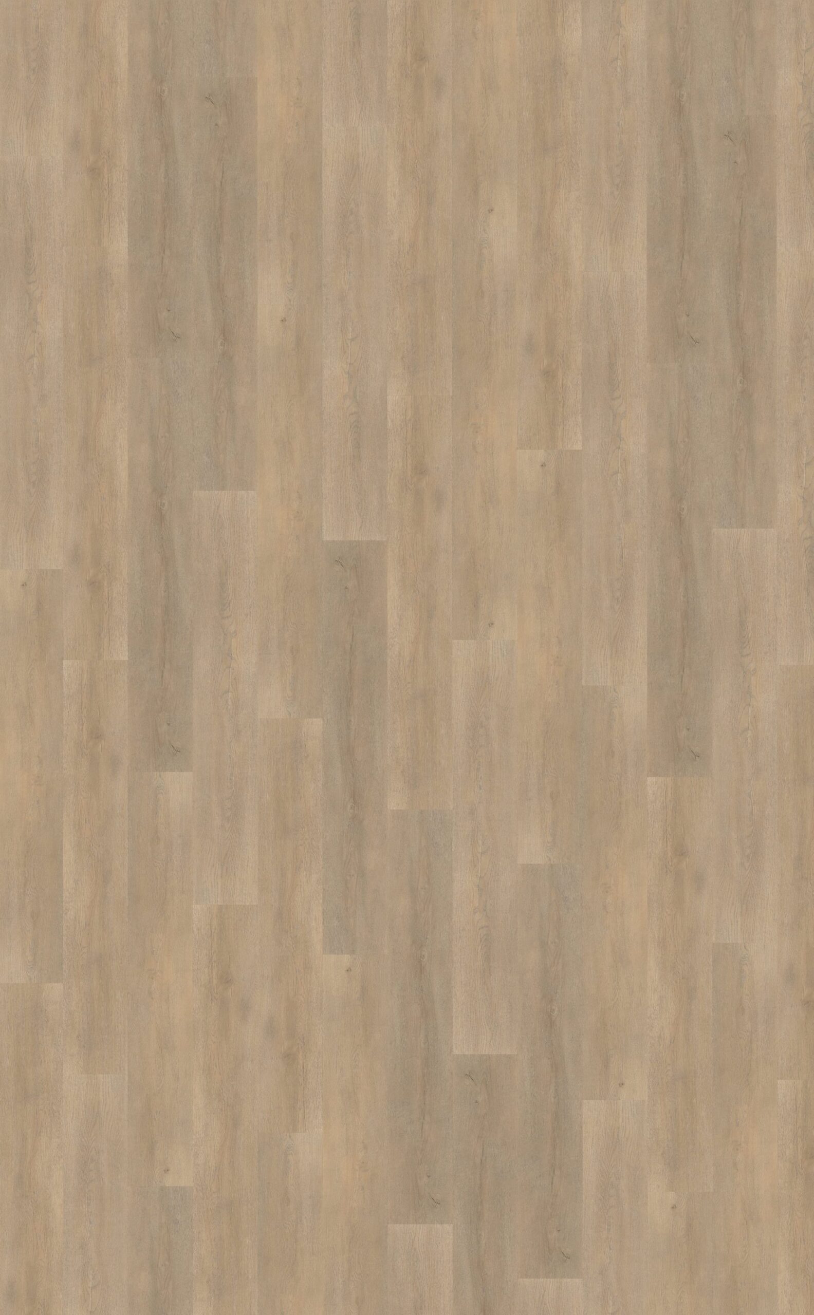 Belakos PVC Palazzo 710 Rigid Click NIK67903 topview scaled