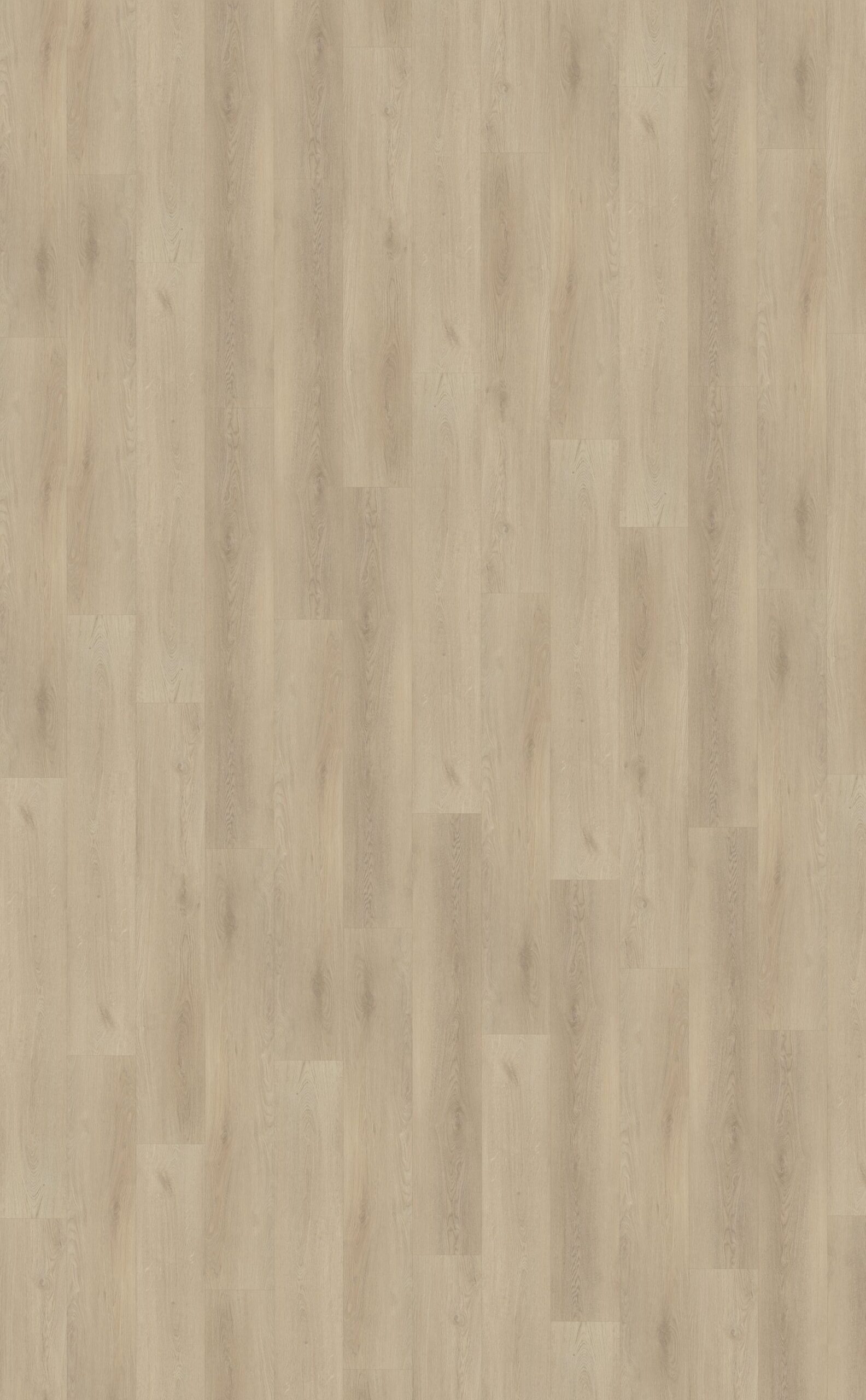 Belakos PVC Palazzo 730 NIK543813 topview scaled