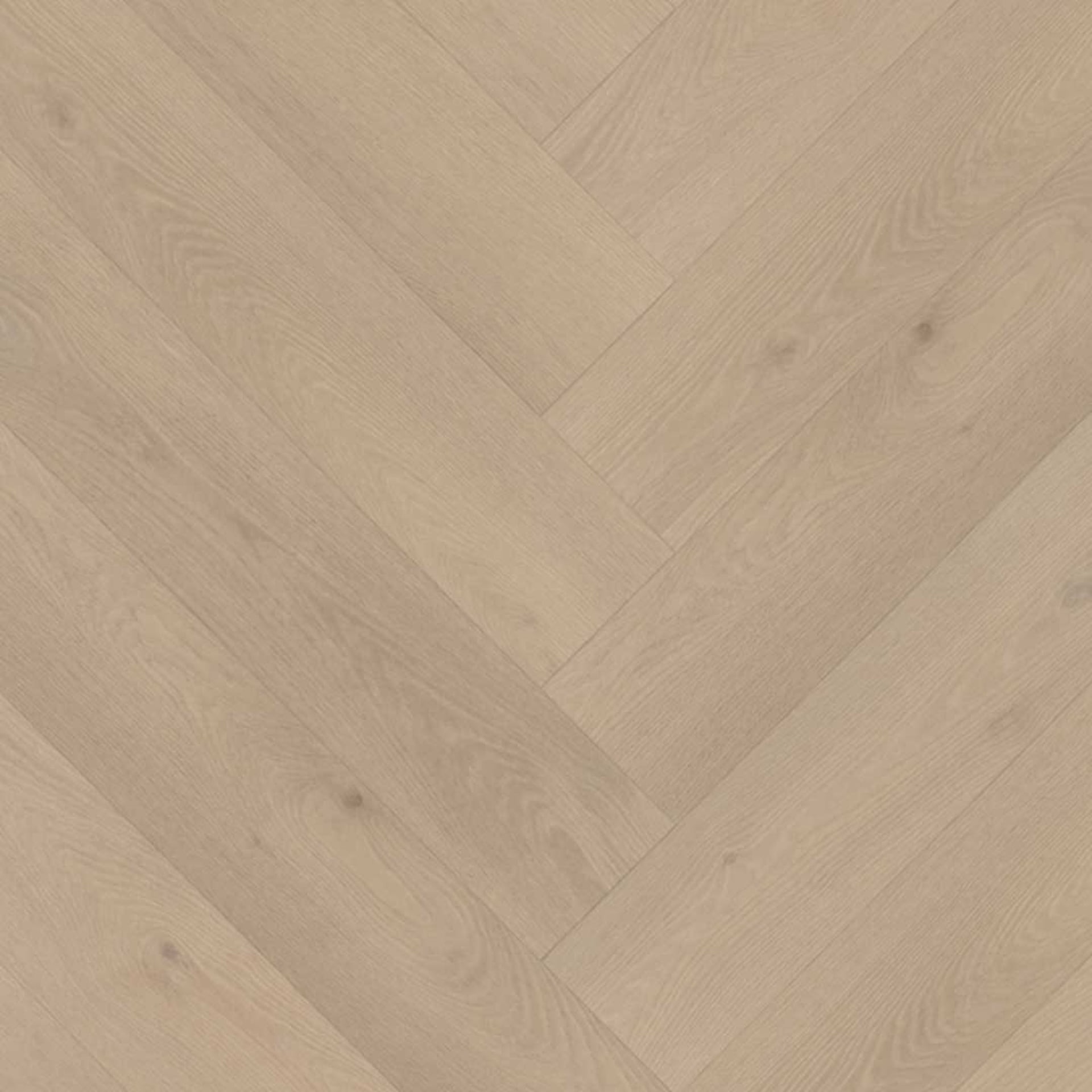 Belakos PVC Palazzo visgraat XL 74 topview