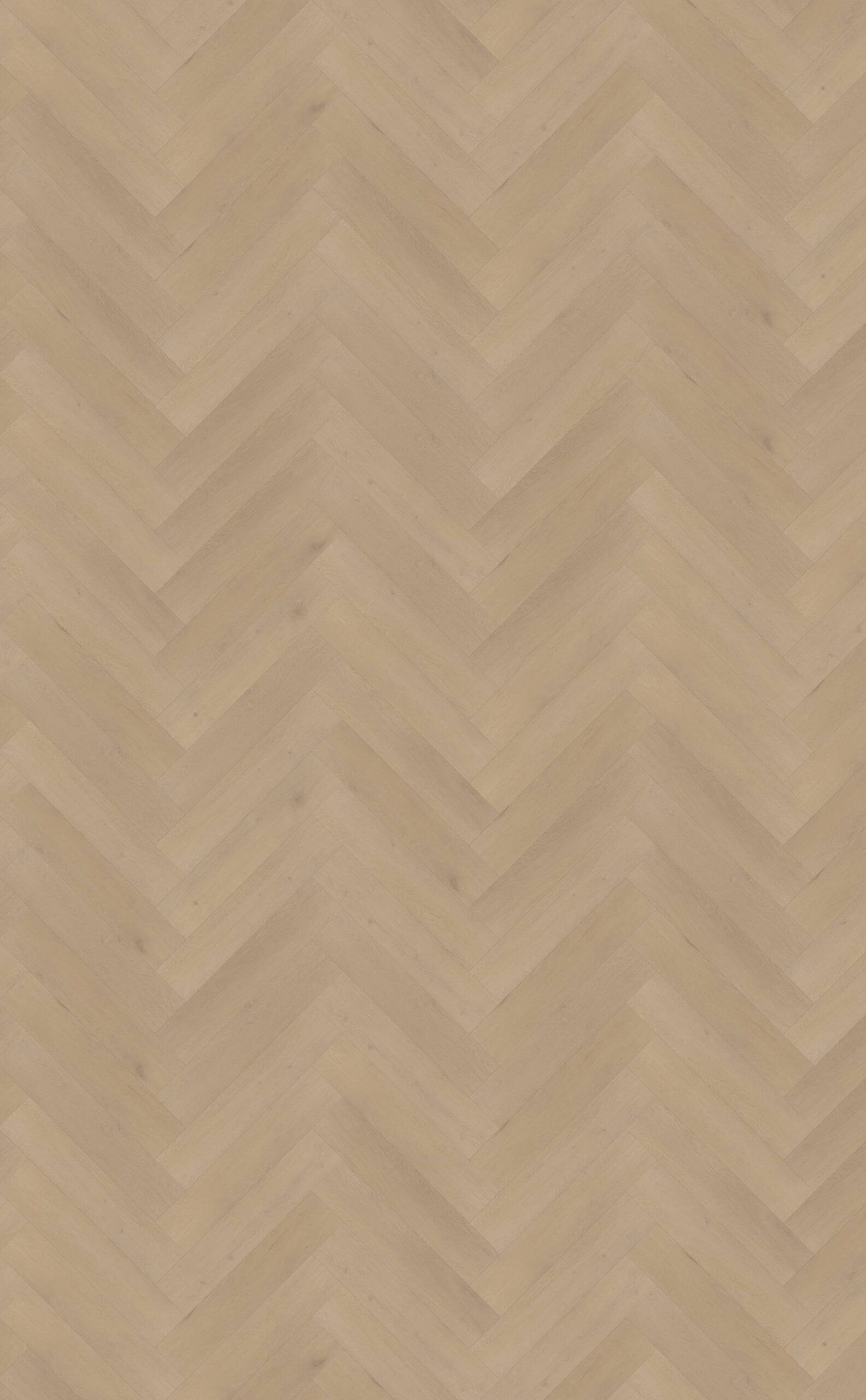 Belakos PVC Palazzo visgraat XL 77 topview scaled