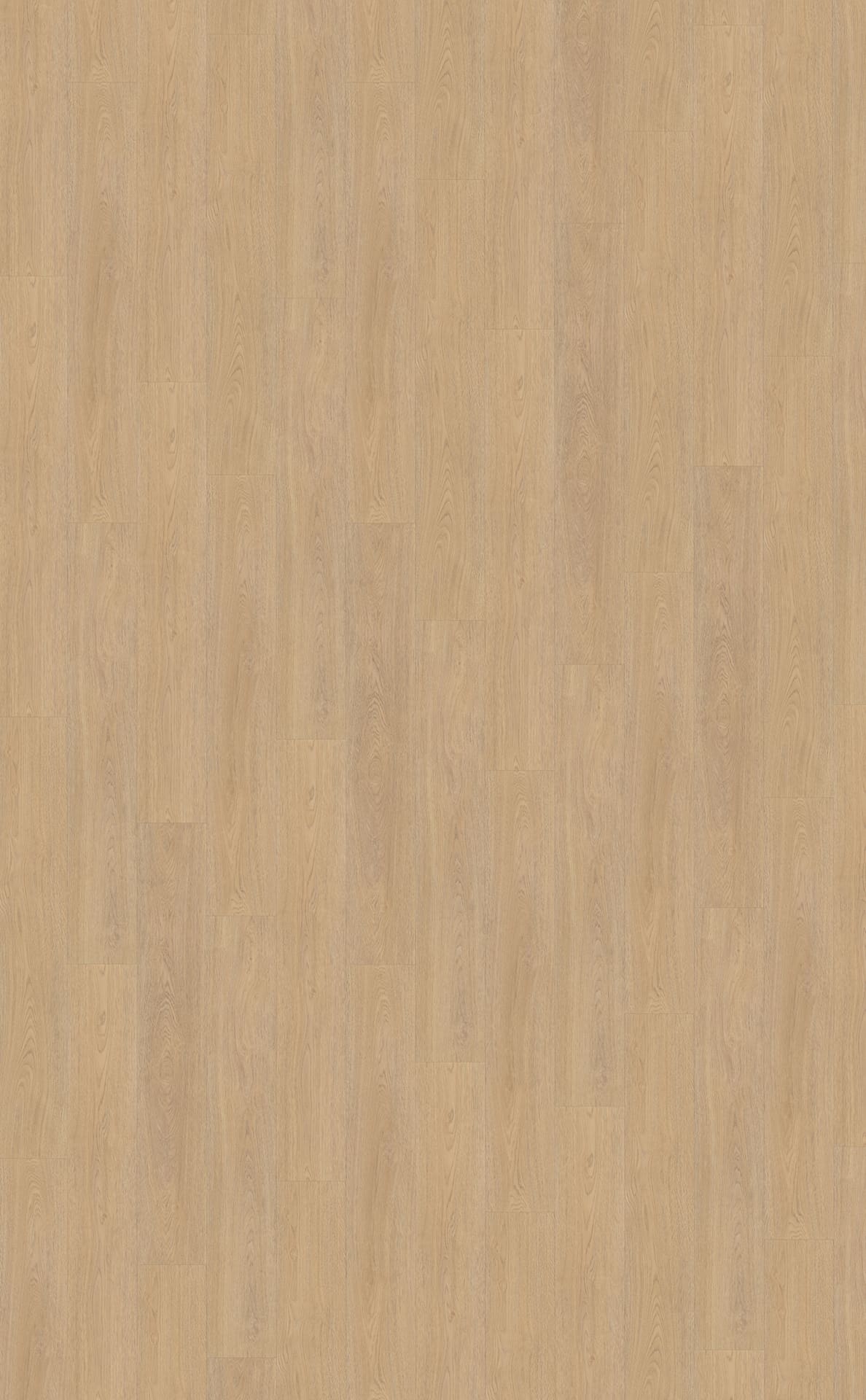 Belakos PVC Terreno 610 Rigid Click topview