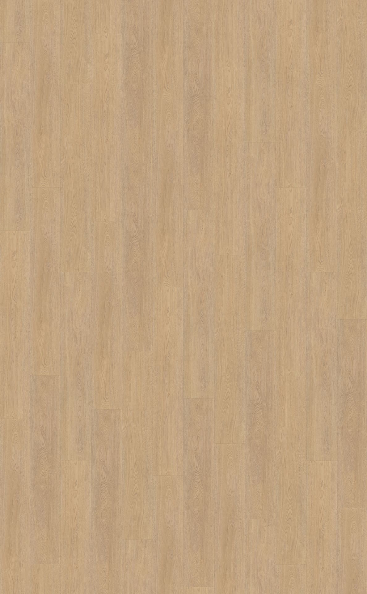 Belakos PVC Terreno 610 topview