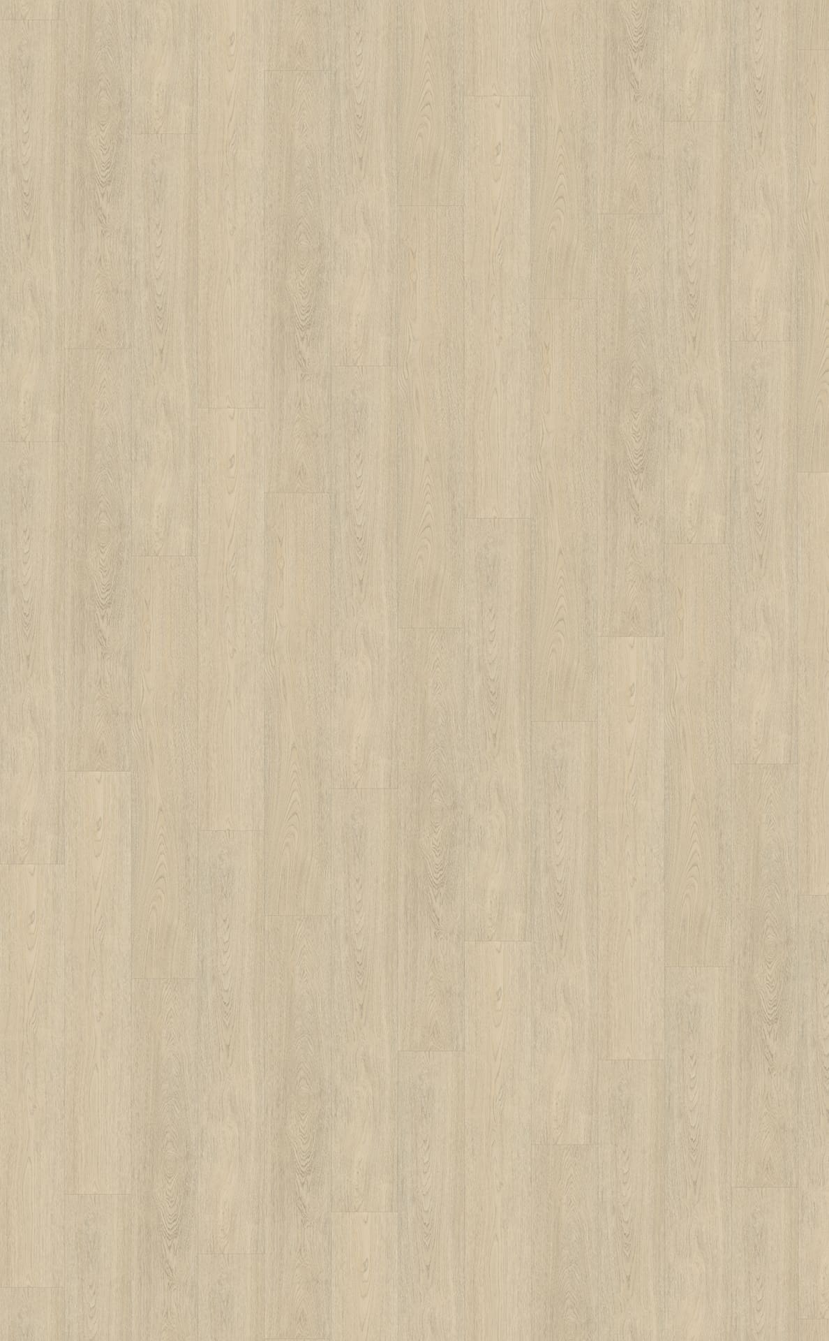 Belakos PVC Terreno 620 Rigid Click topview