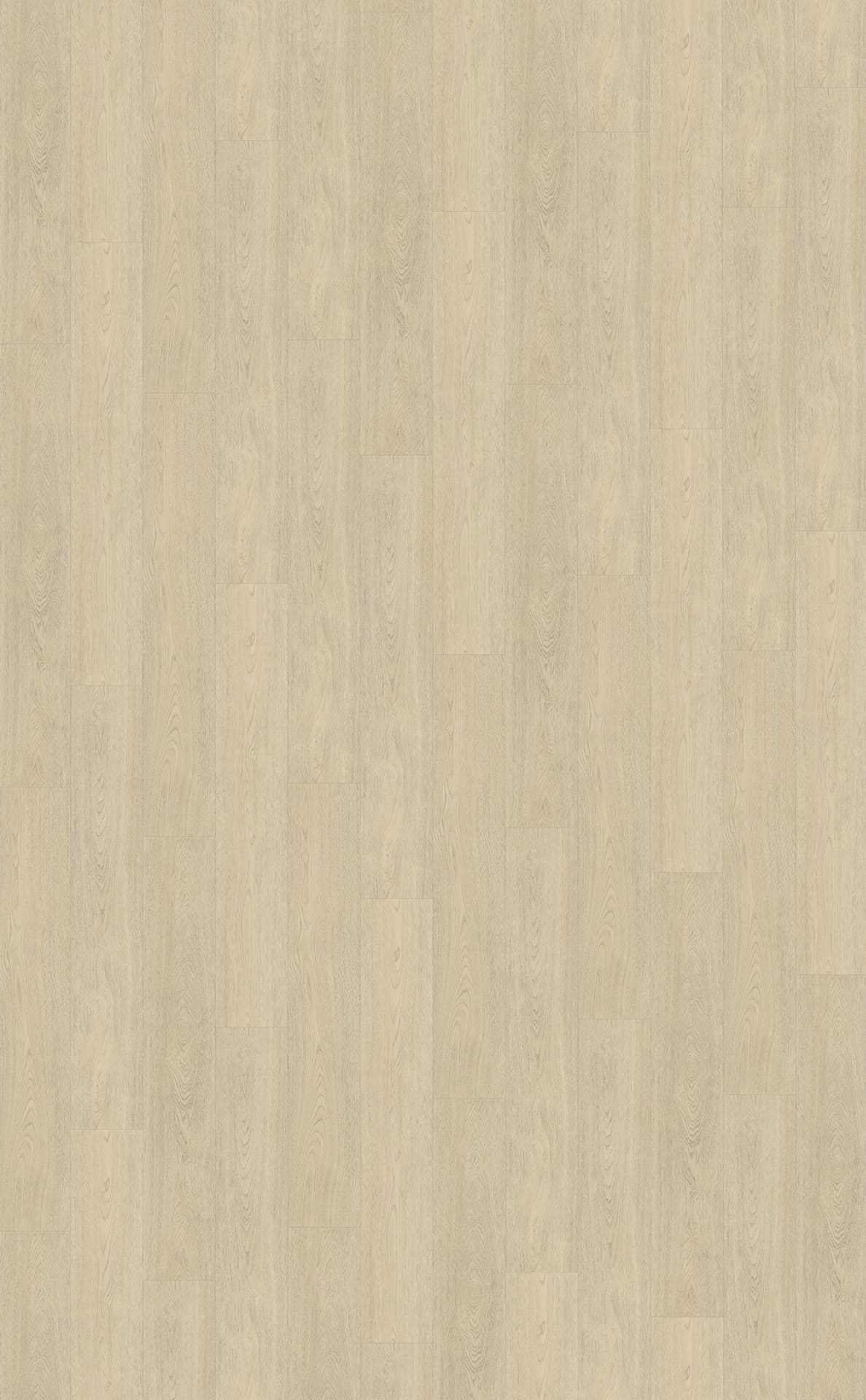 Belakos PVC Terreno 620 topview