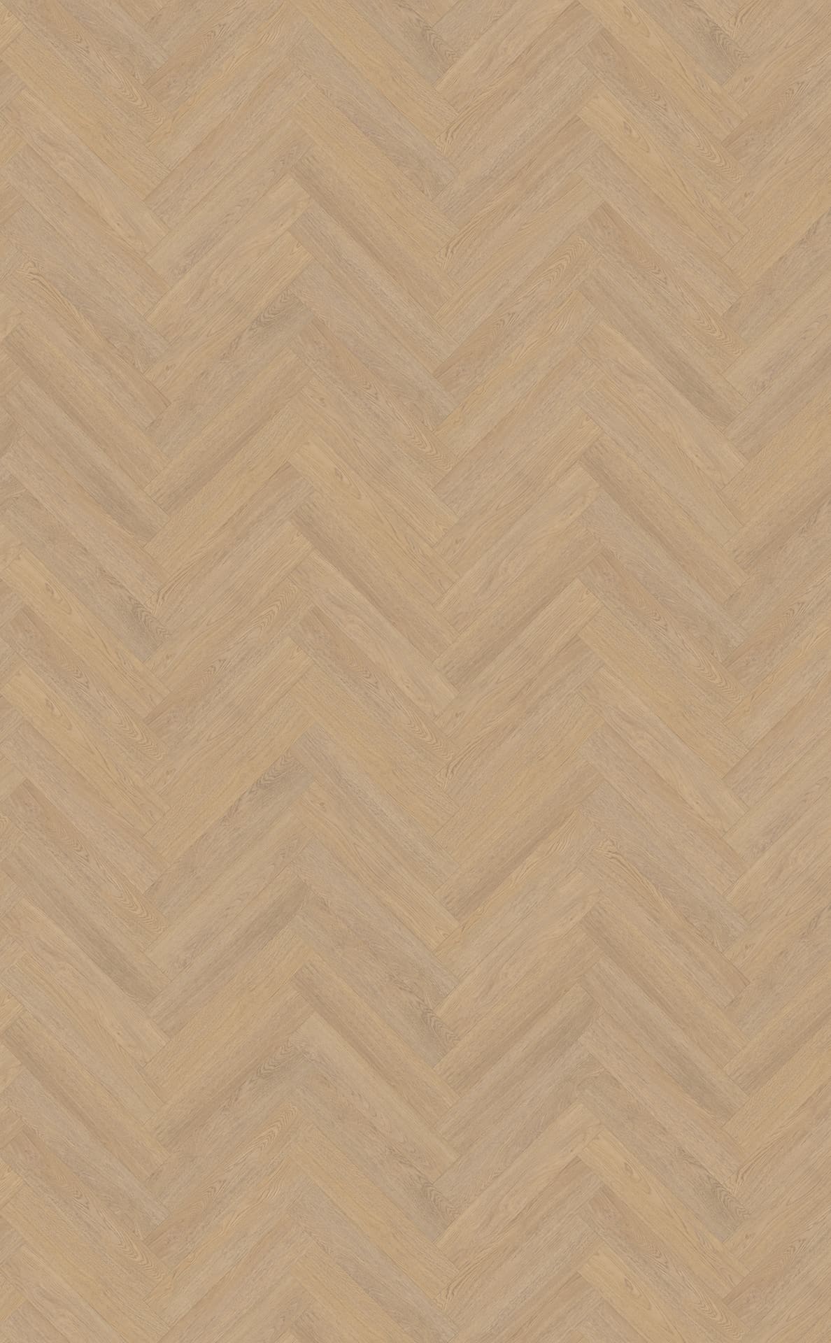 Belakos PVC Terreno visgraat XL 61 Rigid Click topview