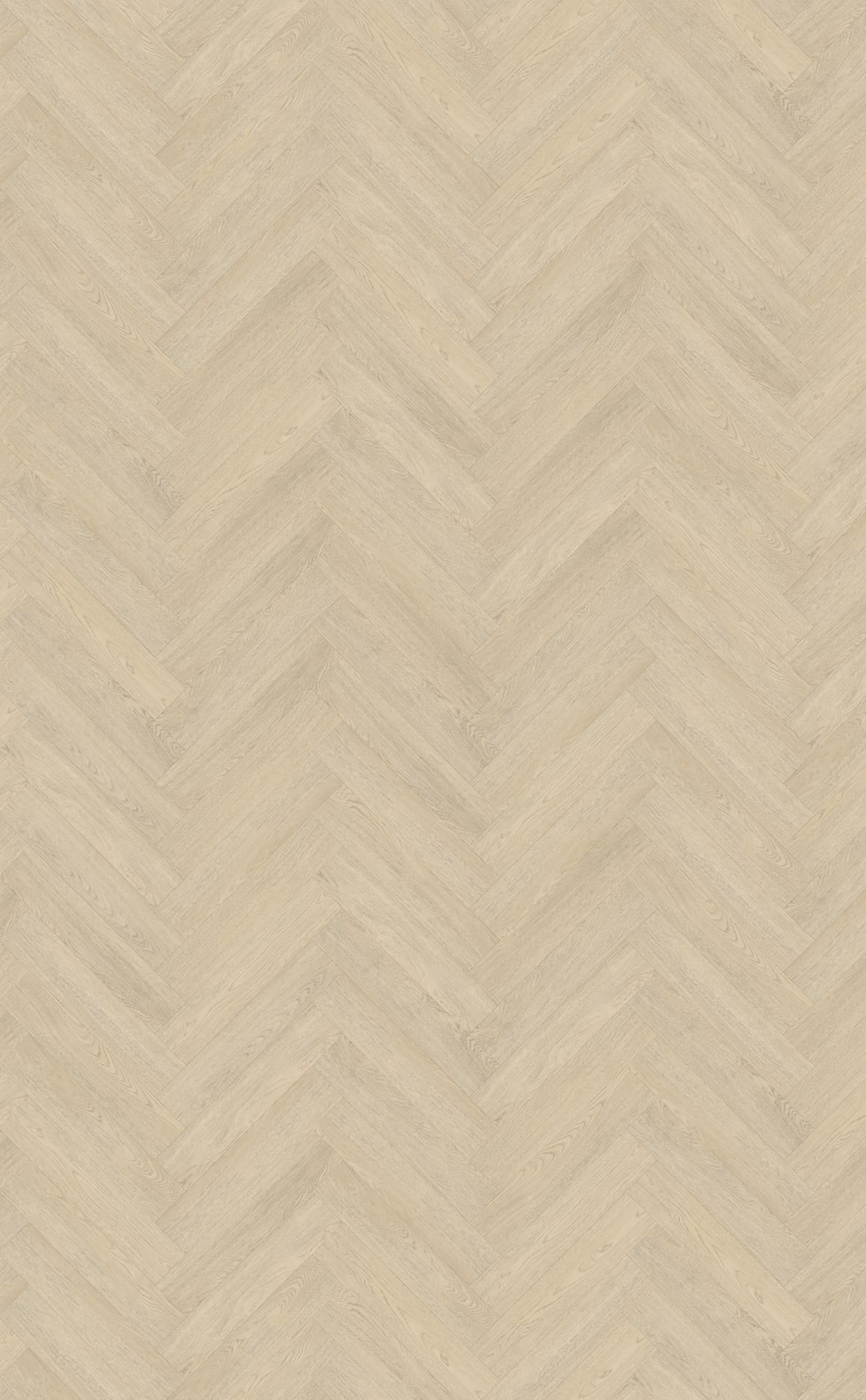 Terreno visgraat XL 62 topview