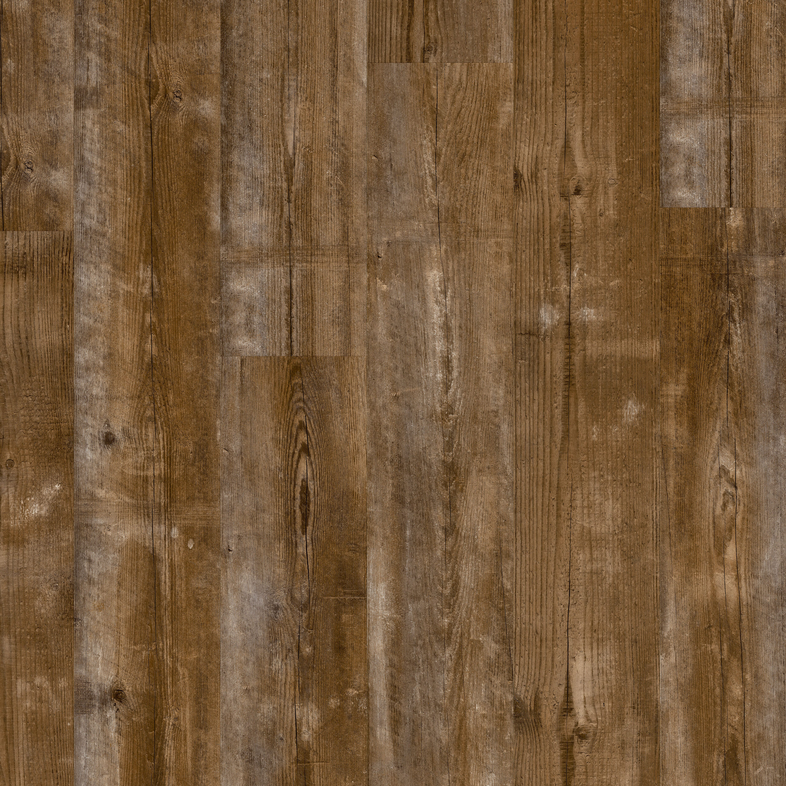 AVMPU40075 Topshot Square HR scaled