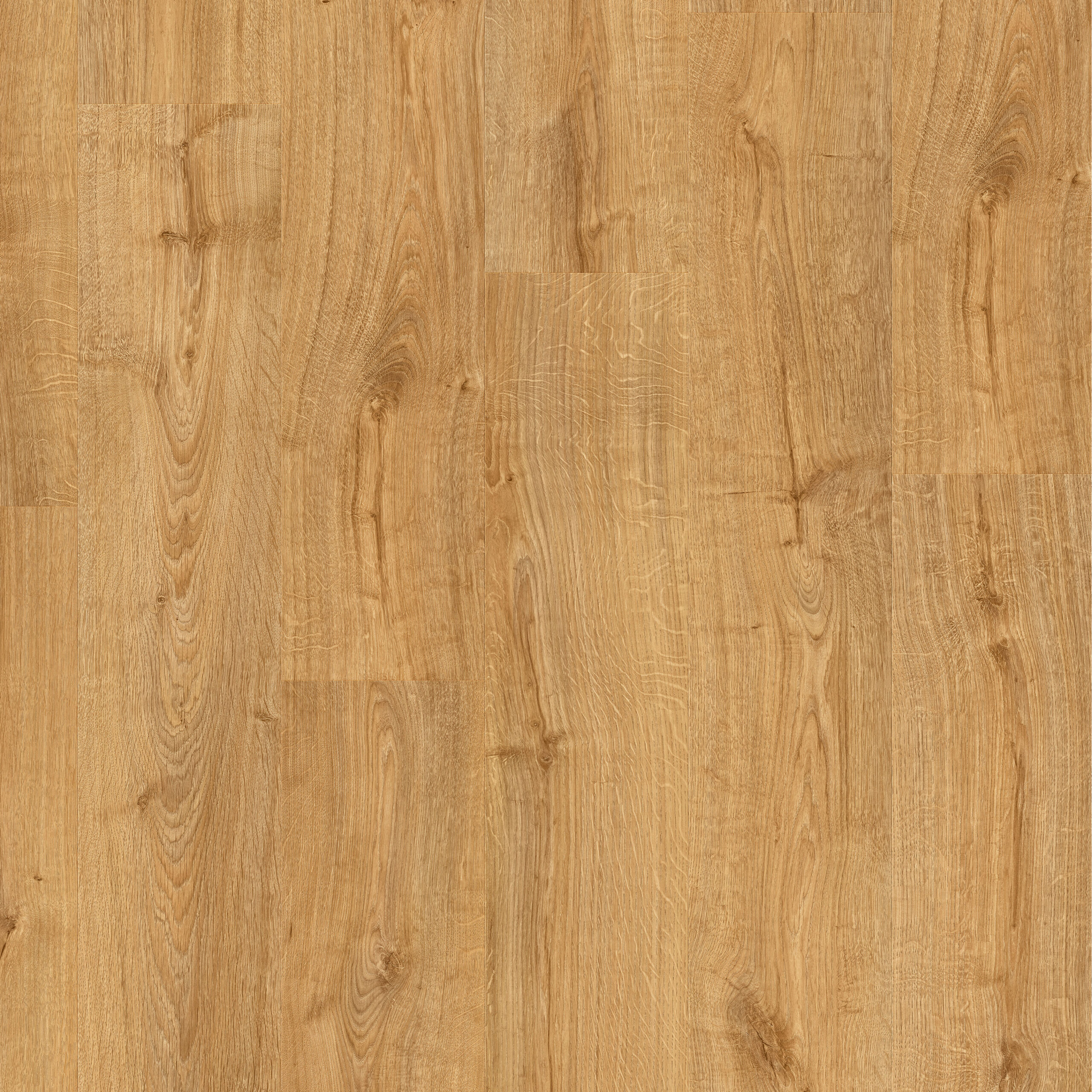 AVMPU40088 Topshot Square HR scaled