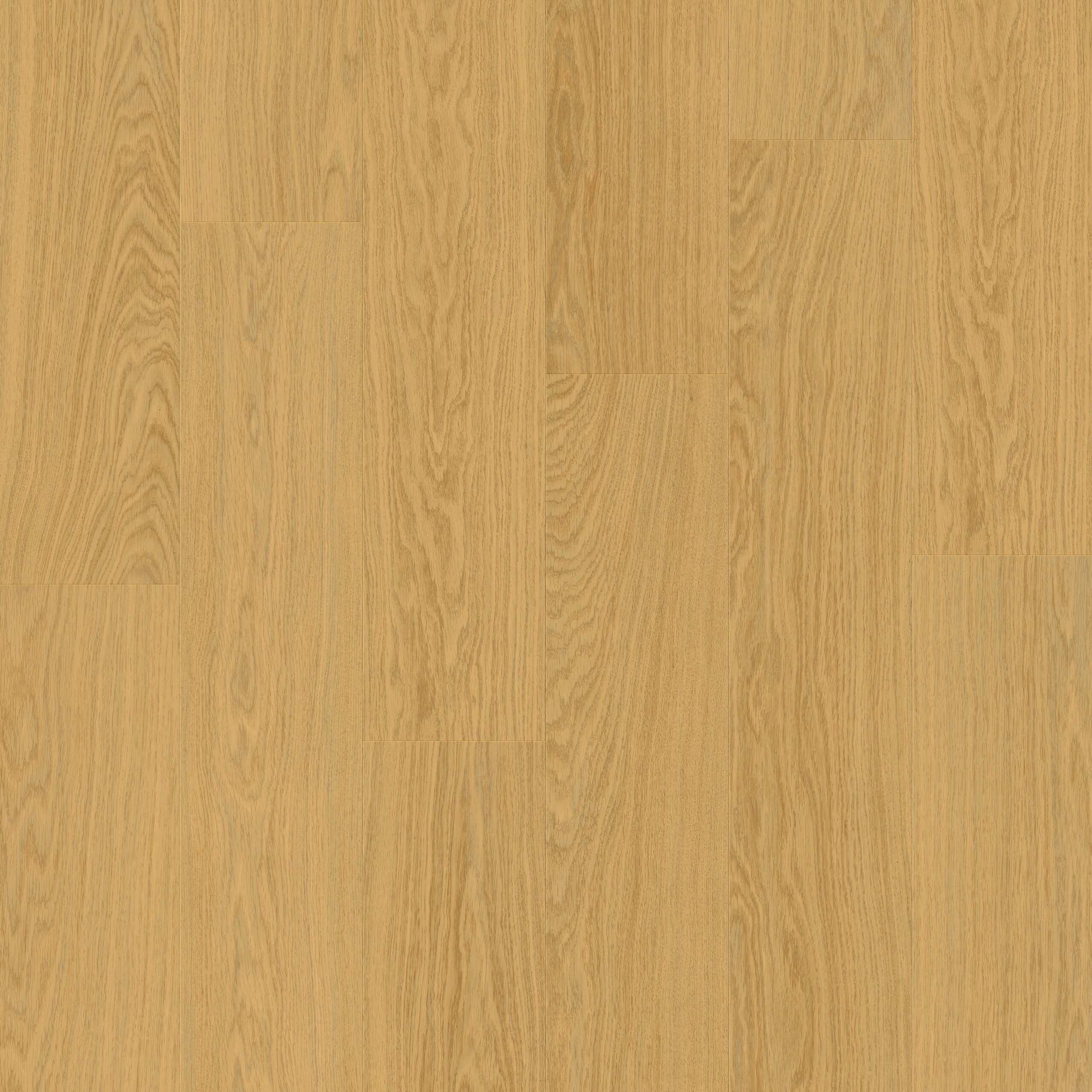 AVMPU40098 Topshot Square HR scaled