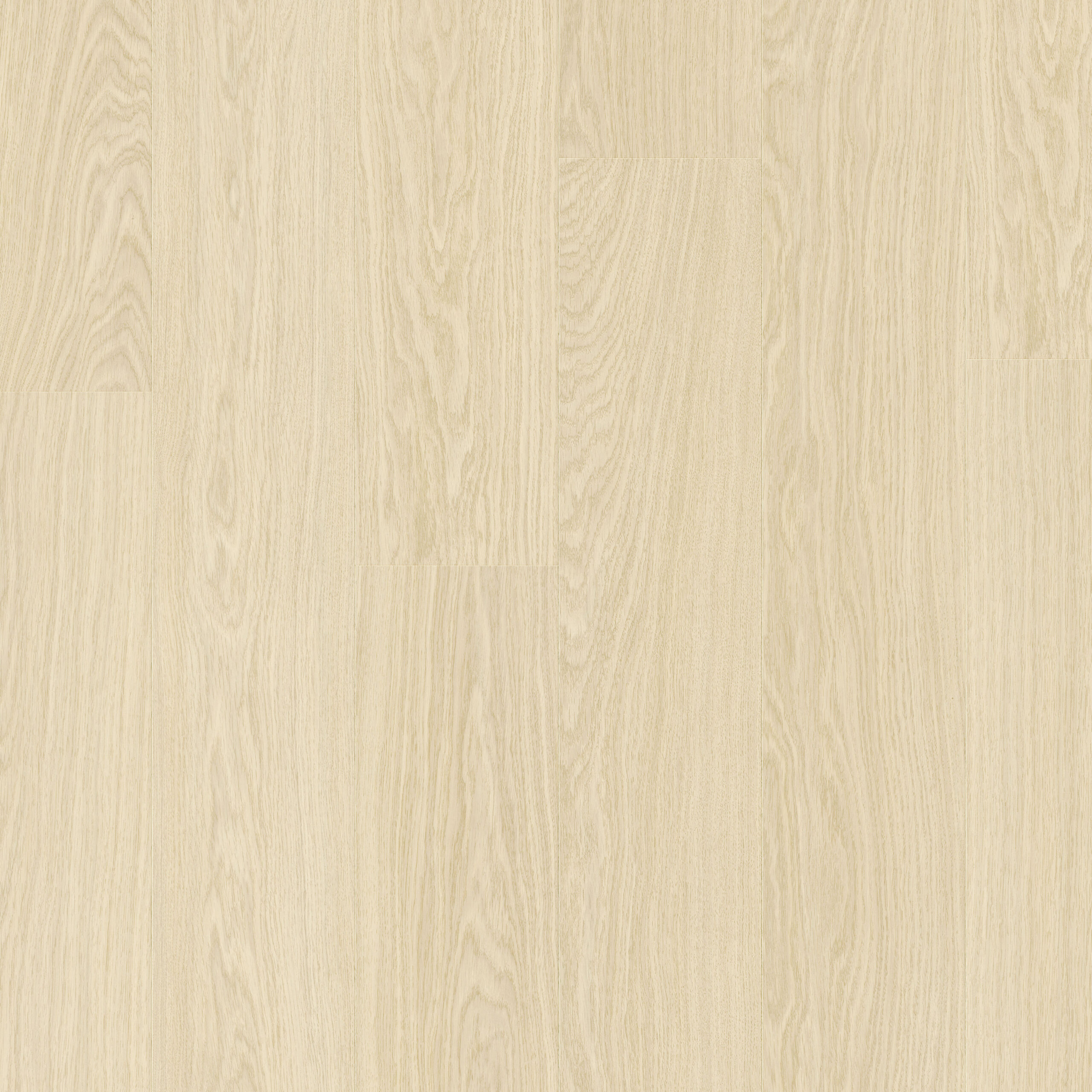 AVMPU40099 Topshot Square HR scaled