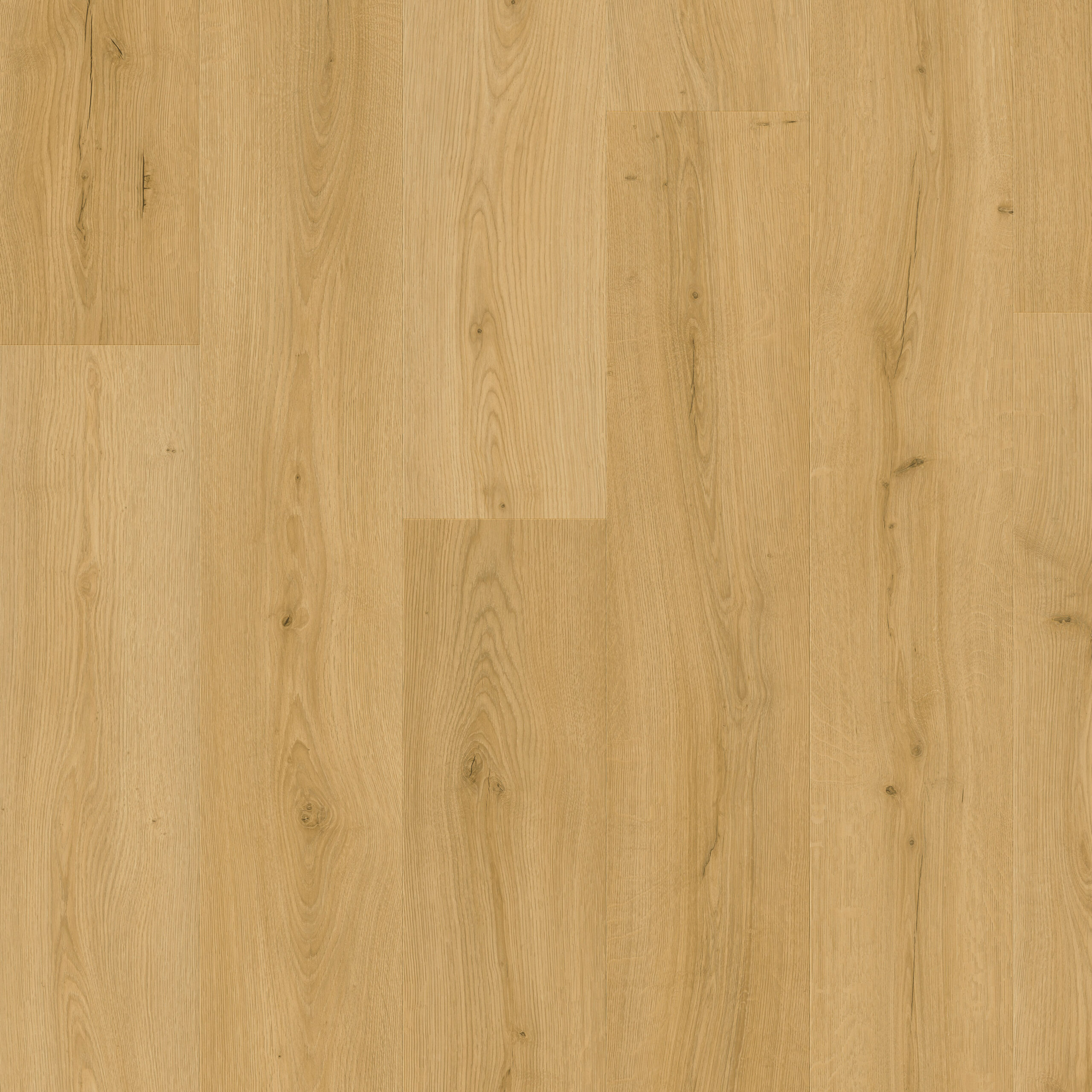 AVMPU40318 Topshot Square HR scaled