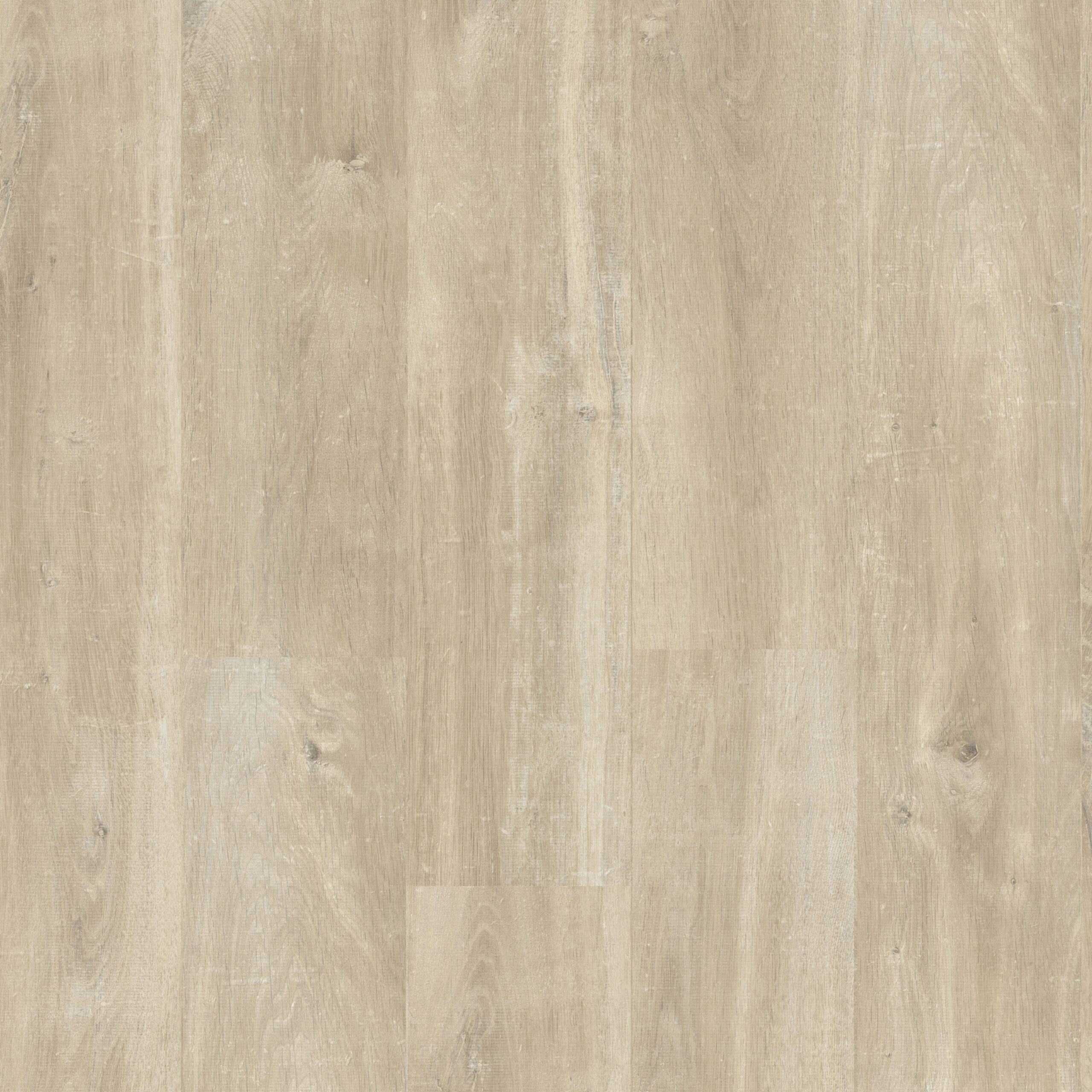 CRH3177 Topshot Square HR scaled