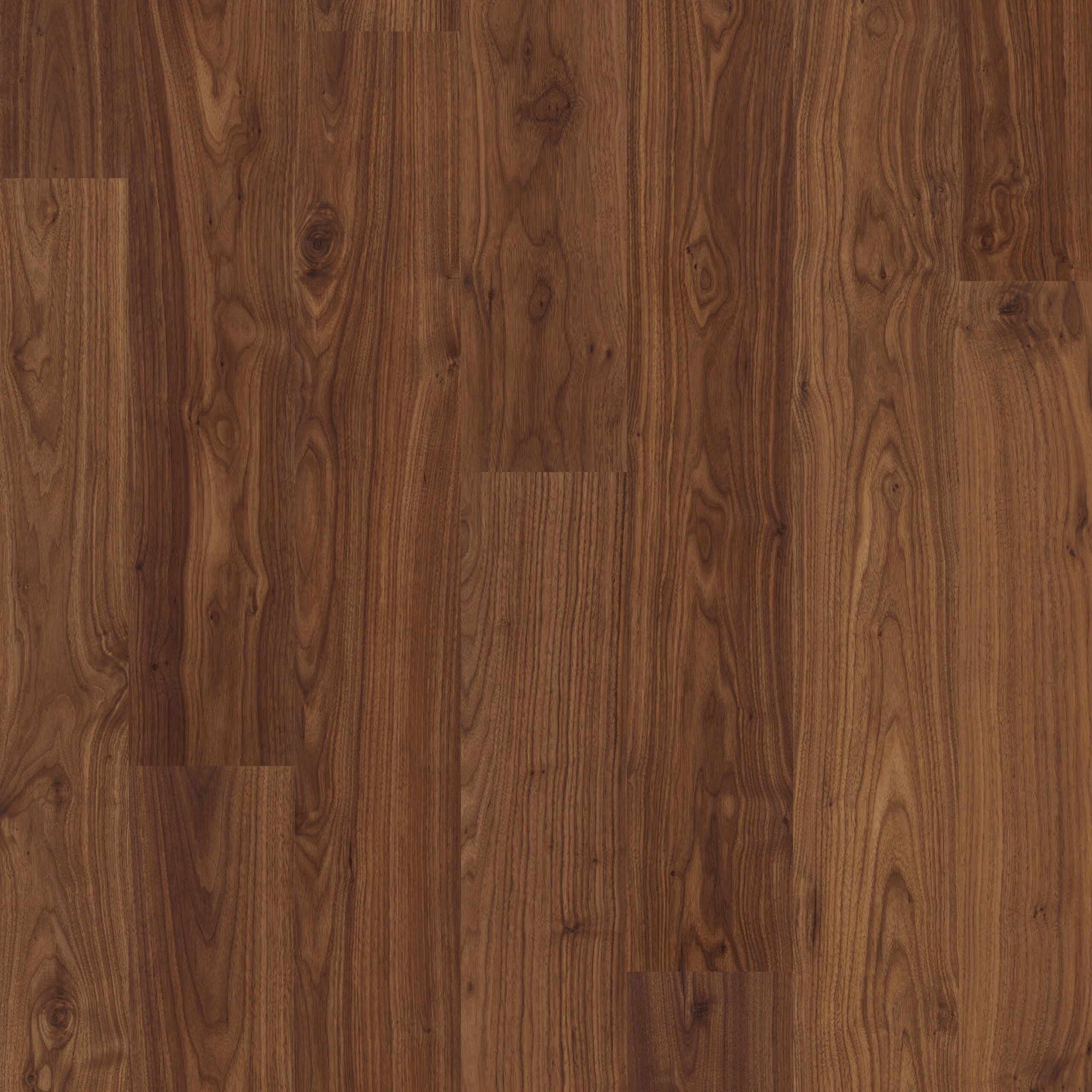 EL1043 Topshot Square HR scaled