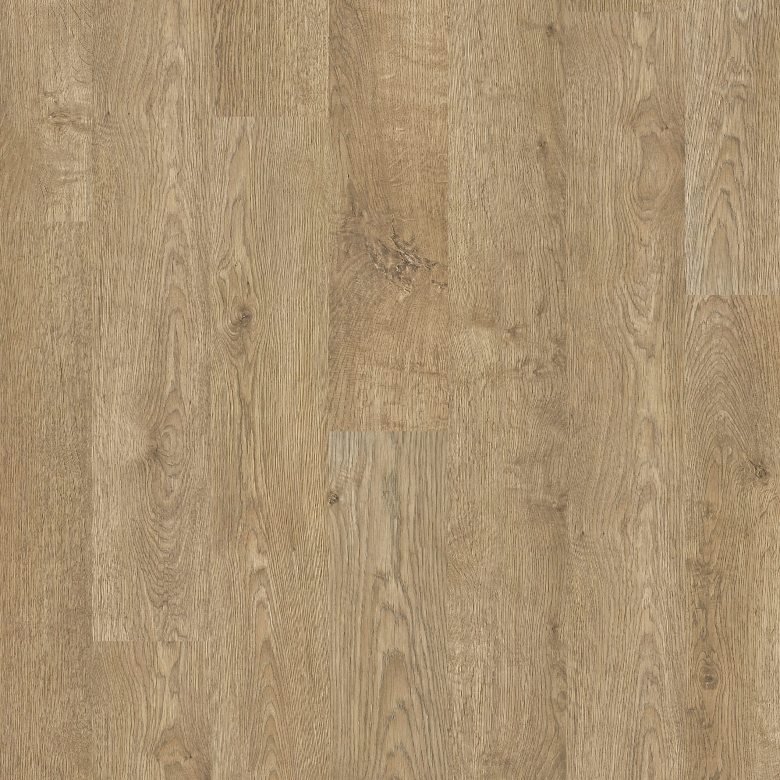 EL312 Topshot Square HR scaled