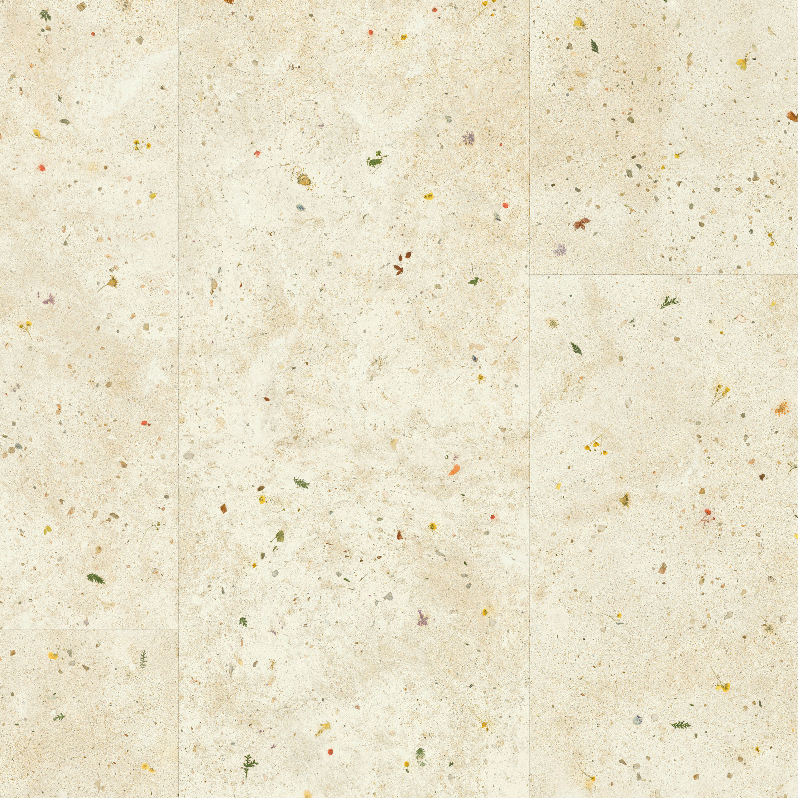 MUS5494 Topshot Square HR scaled