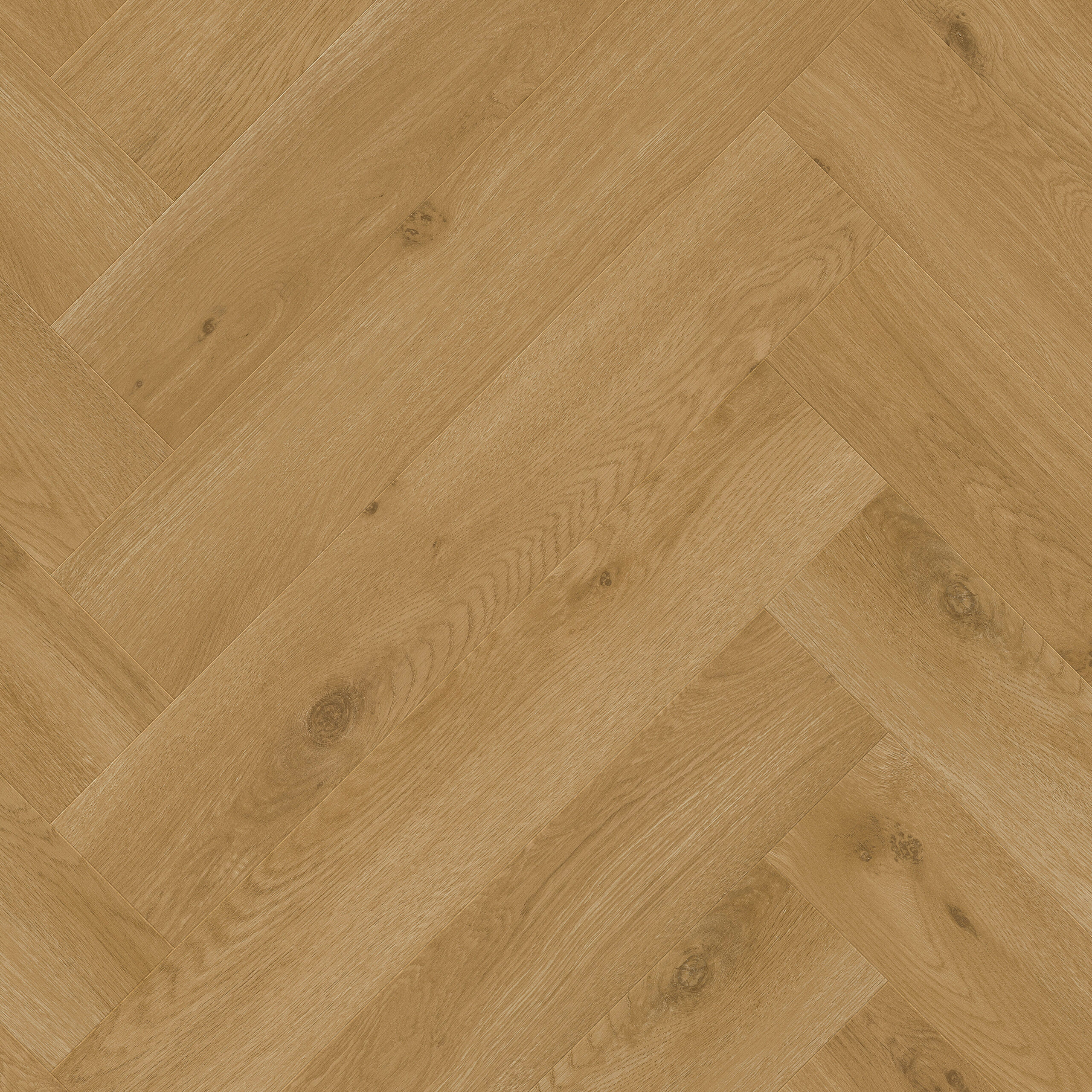 SGHBC20327 Topshot Square HR scaled