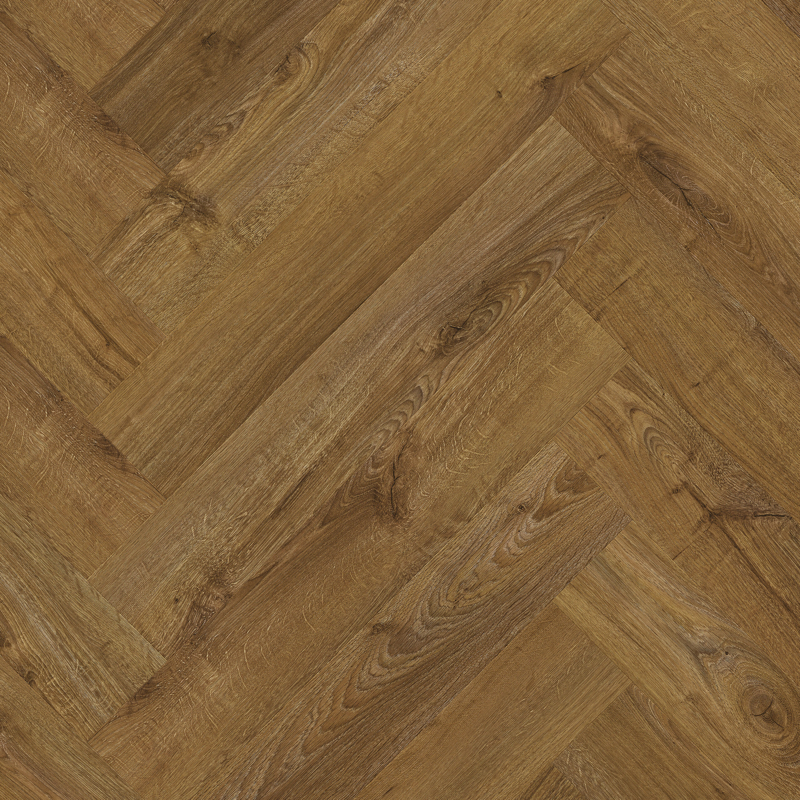 SGHBC20334 Topshot Square HR scaled