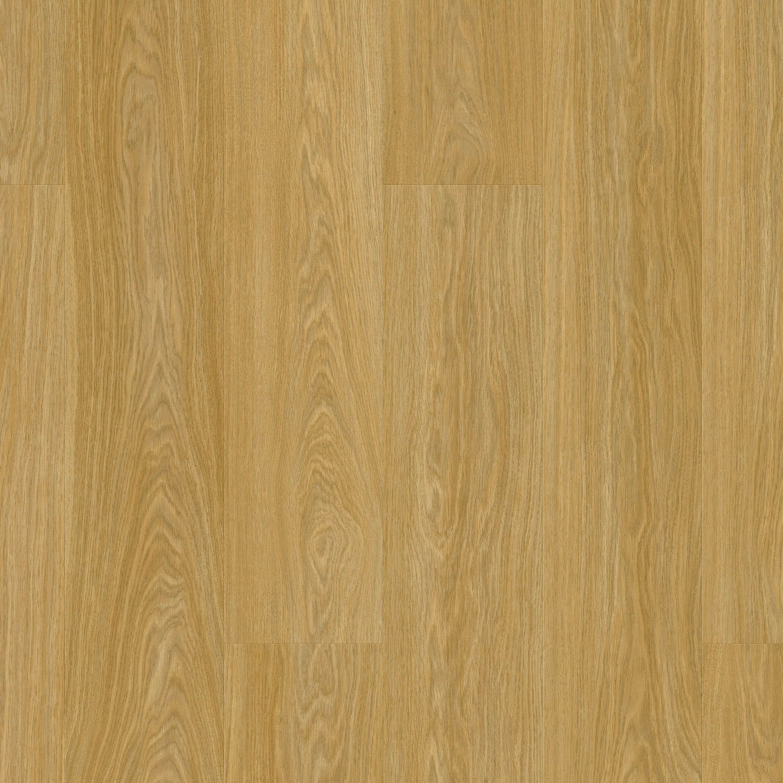 SGMPC20322 Topshot Square HR scaled