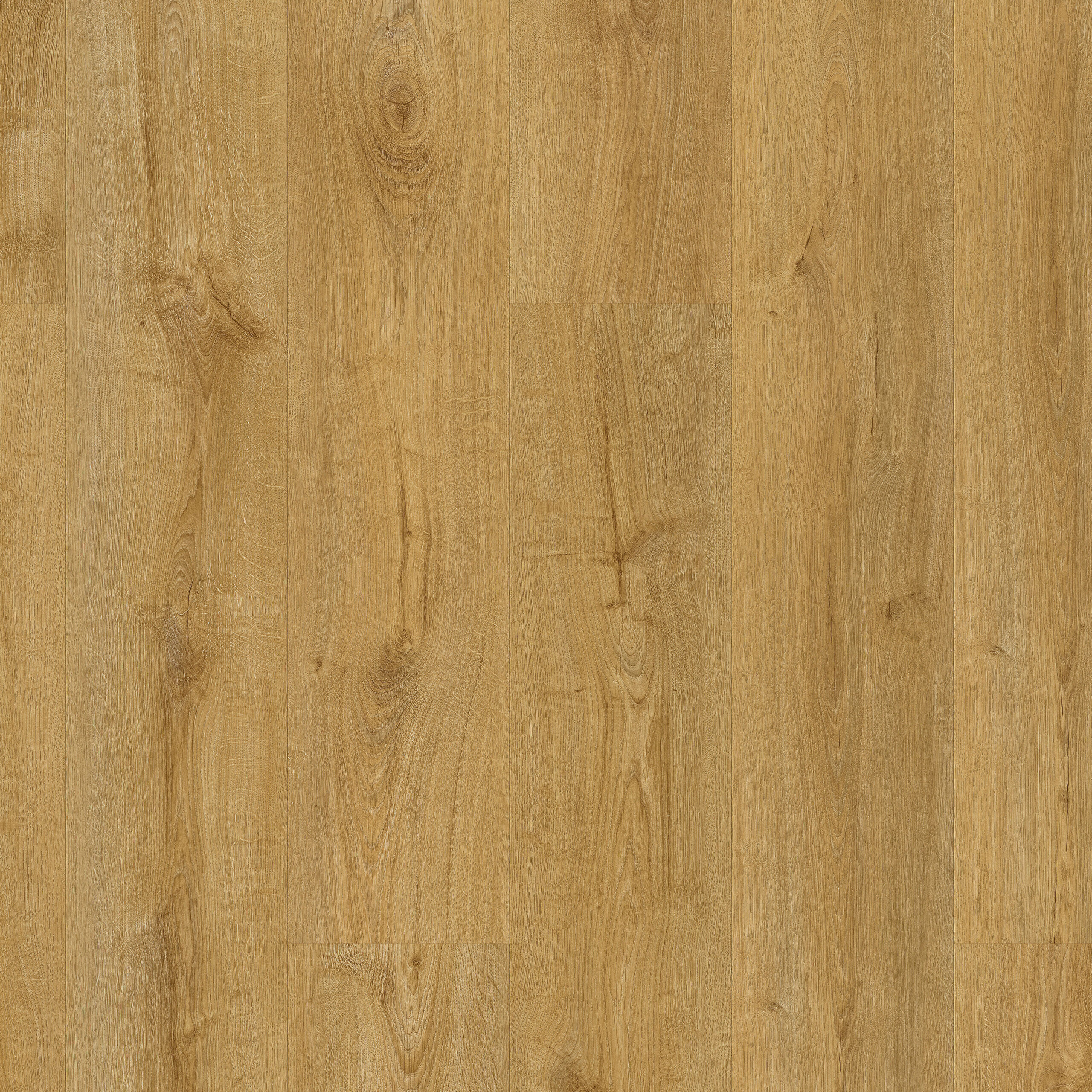 SGMPC20325 Topshot Square HR scaled