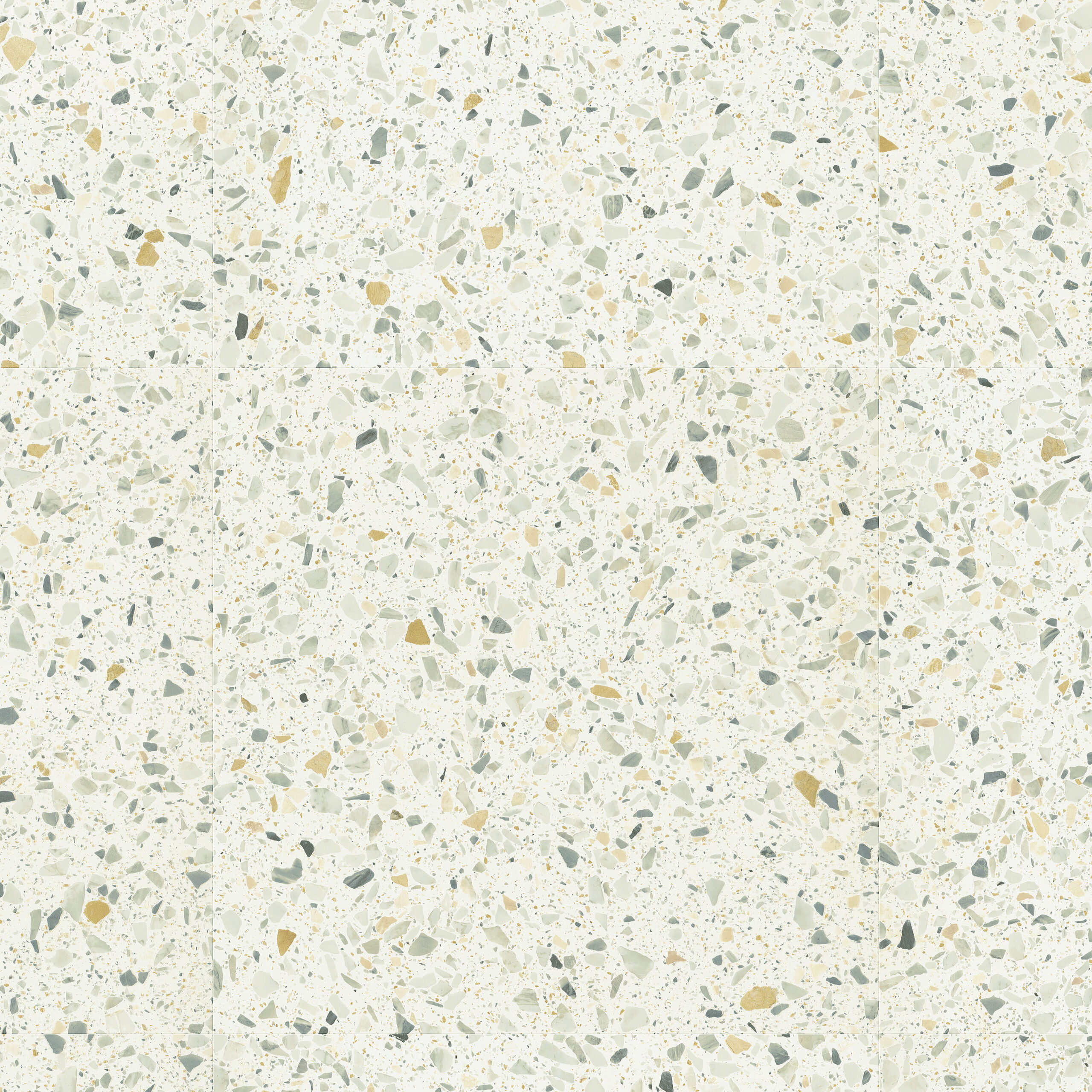 SGTC20307 Topshot Square HR scaled