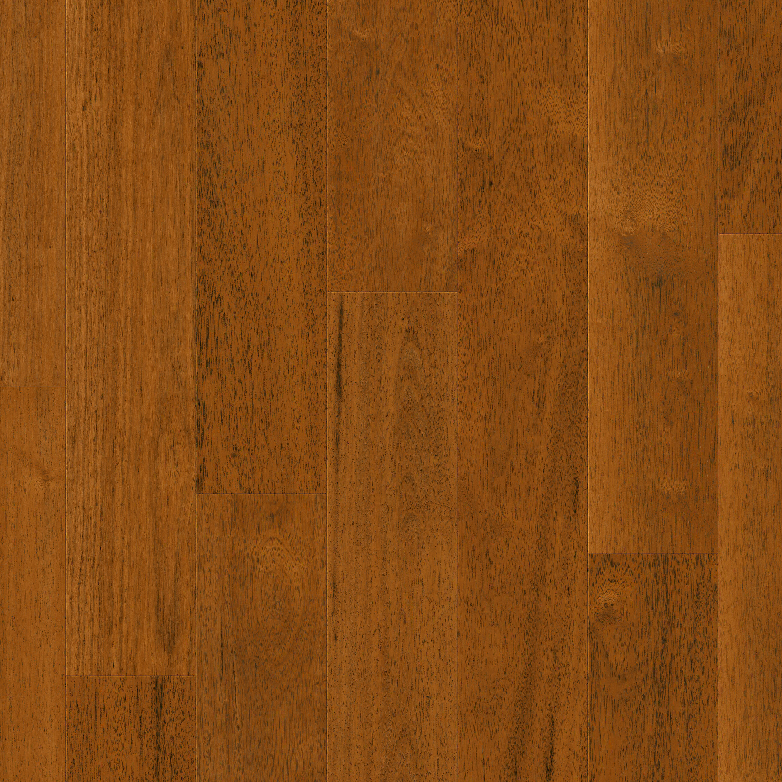 SIG4760 Topshot Square HR scaled