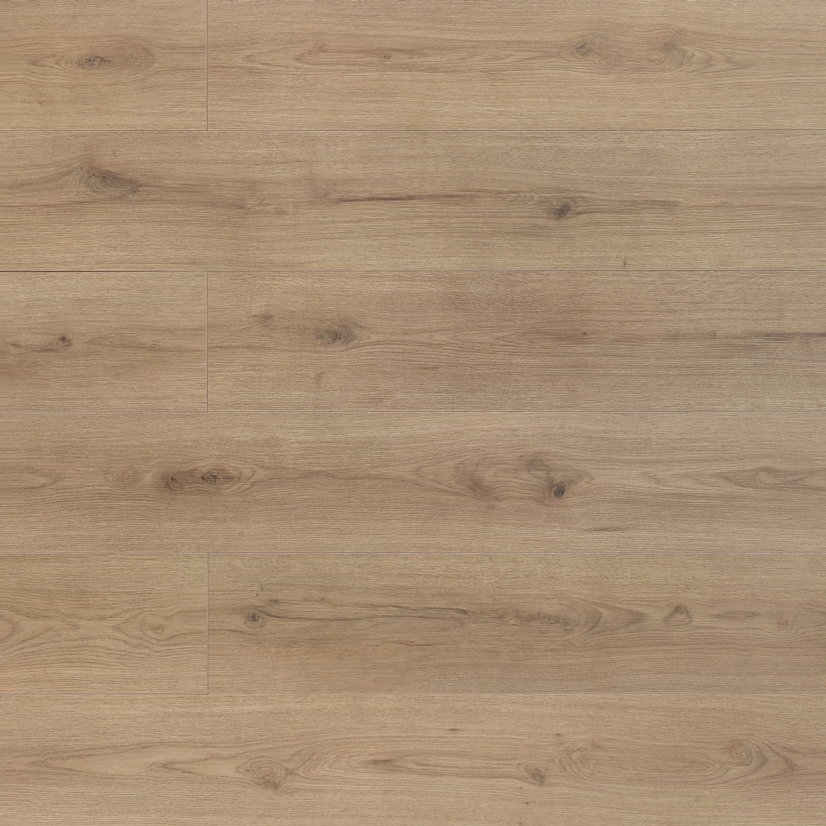 Floer Hybride Laminaat Steden Gent Grijsbeige Eiken topdown