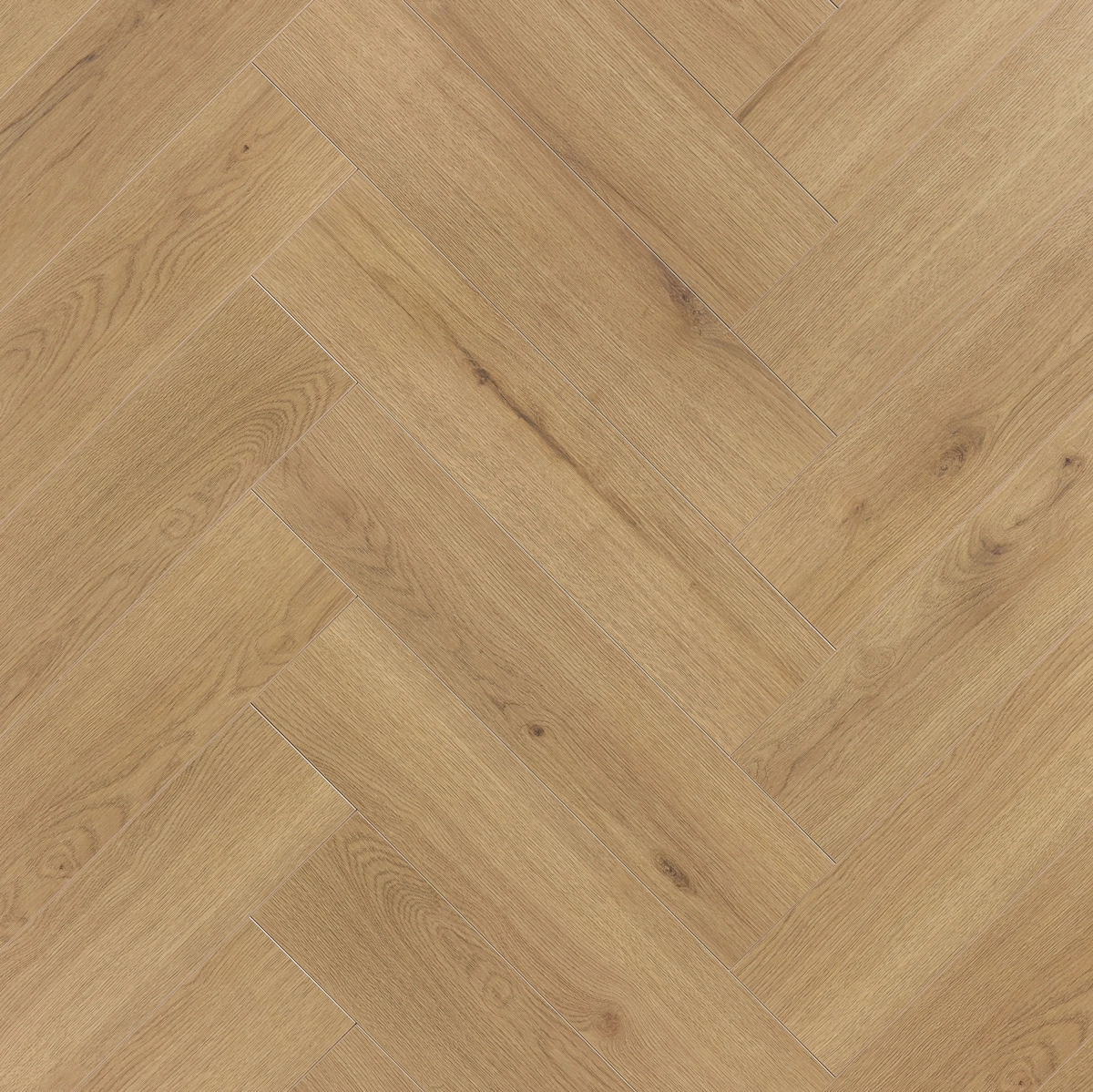 Floer Hybride Laminaat Visgraat Natuurlijk Eiken topdown