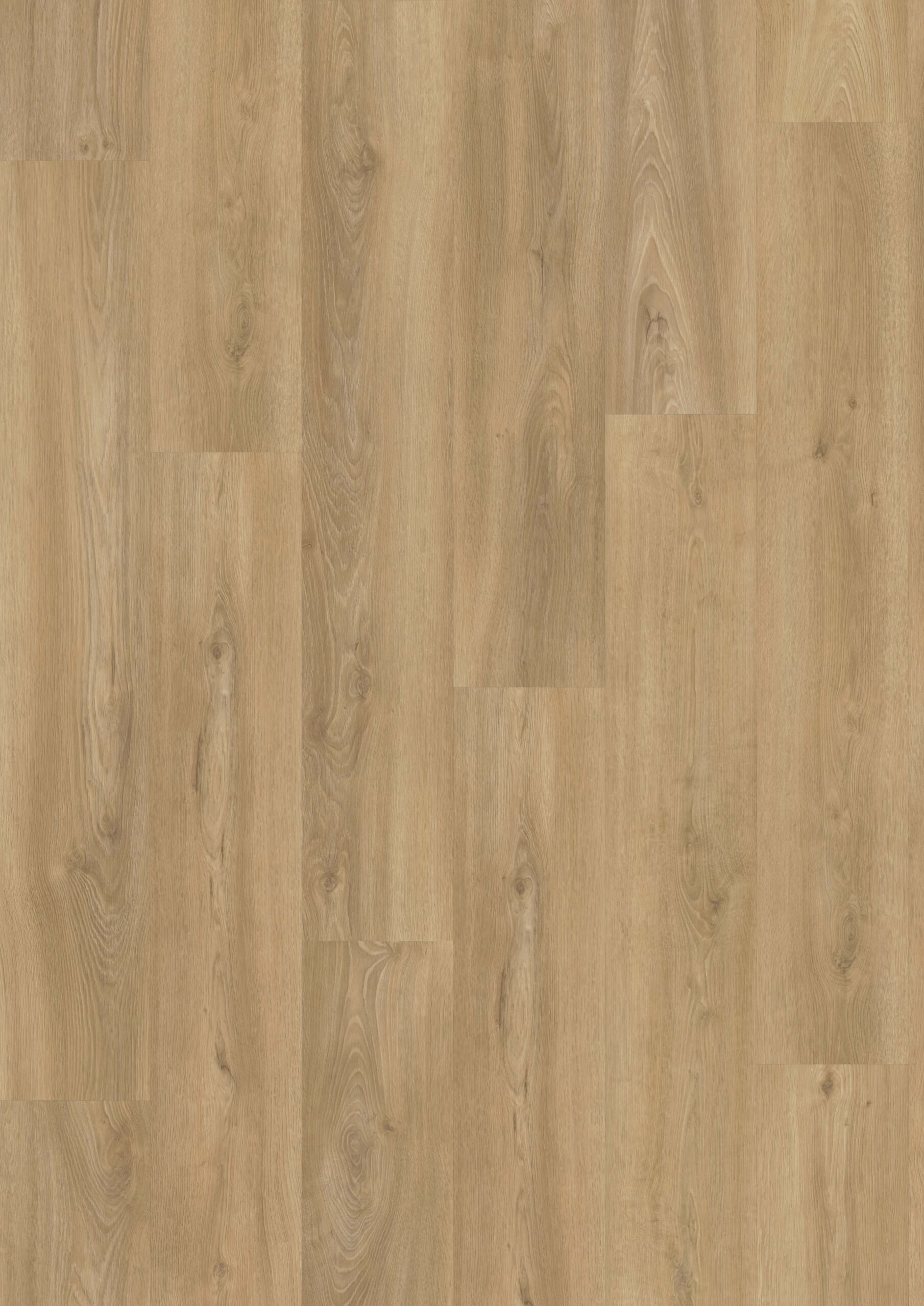 3510 Top Vivafloors scaled