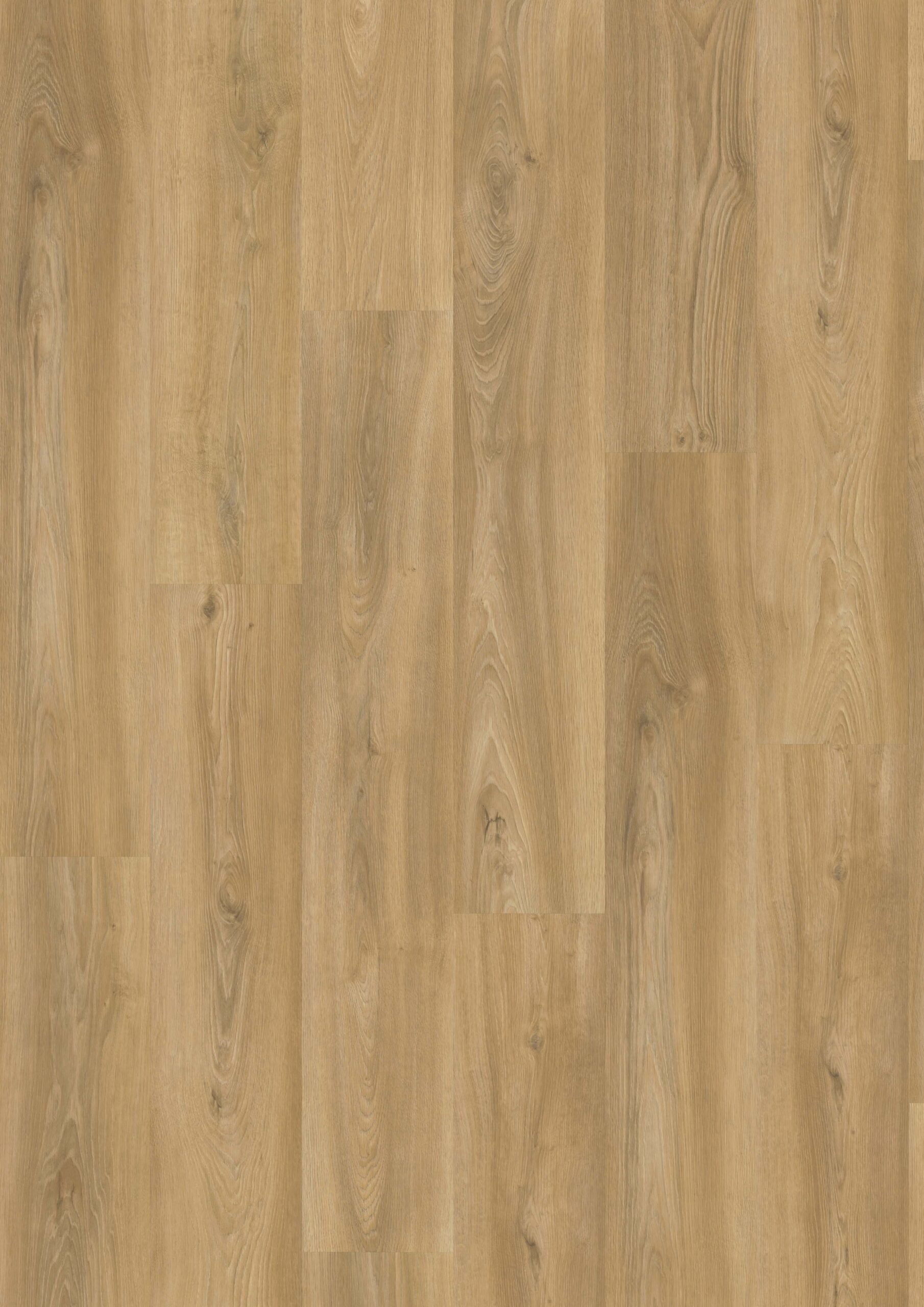 3520 Top Vivafloors scaled