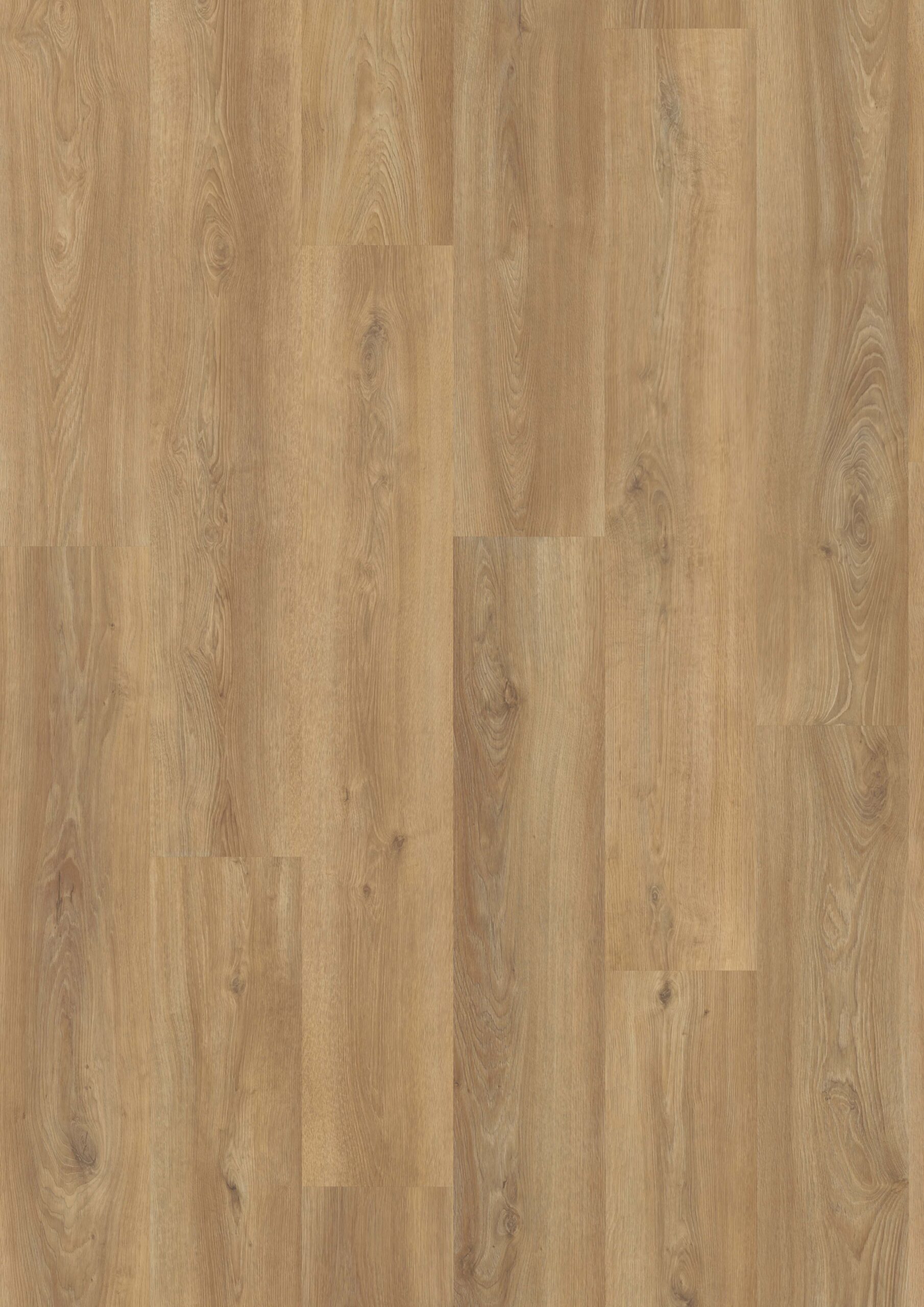 3530 Top Vivafloors scaled