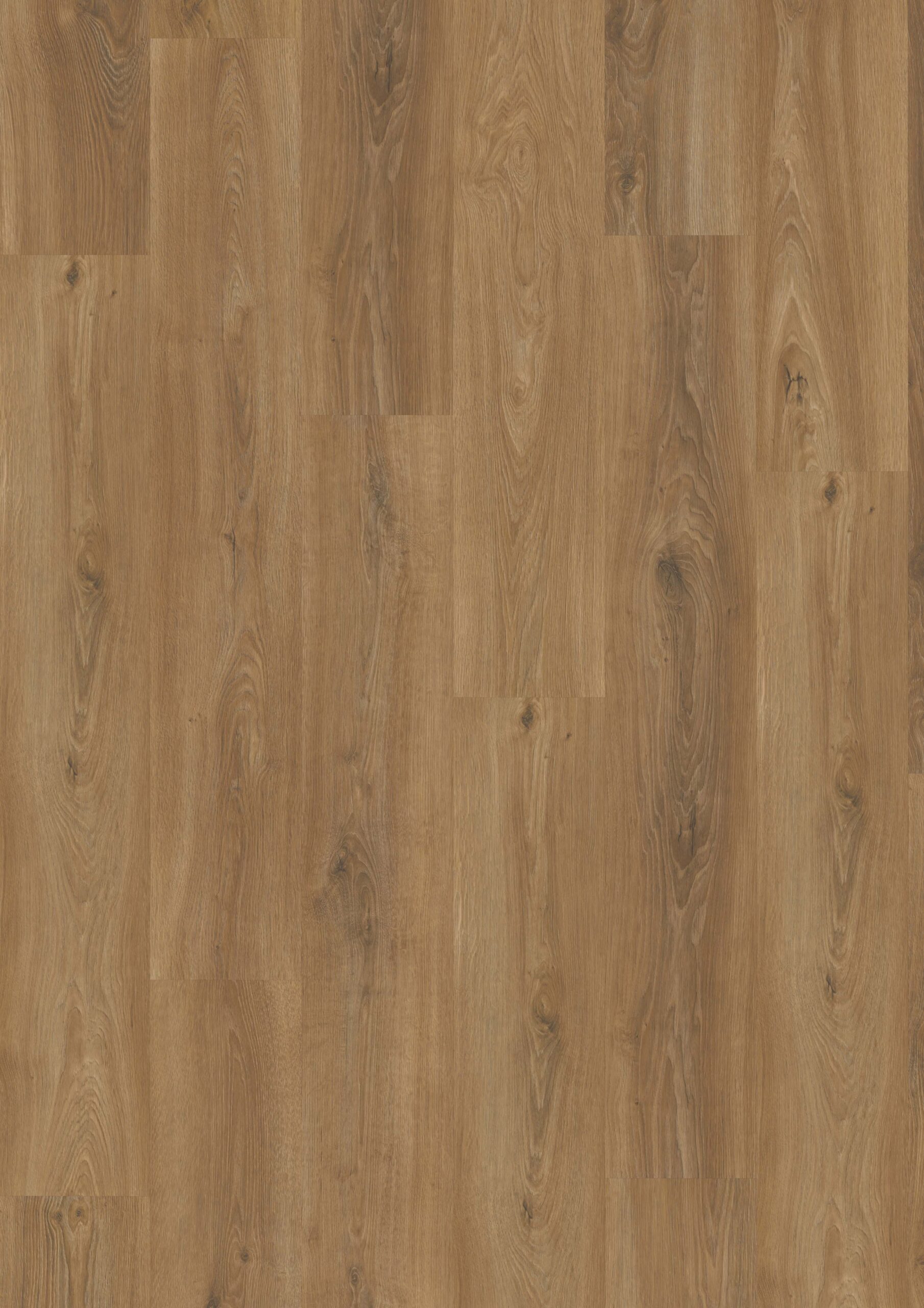 3540 Top Vivafloors scaled